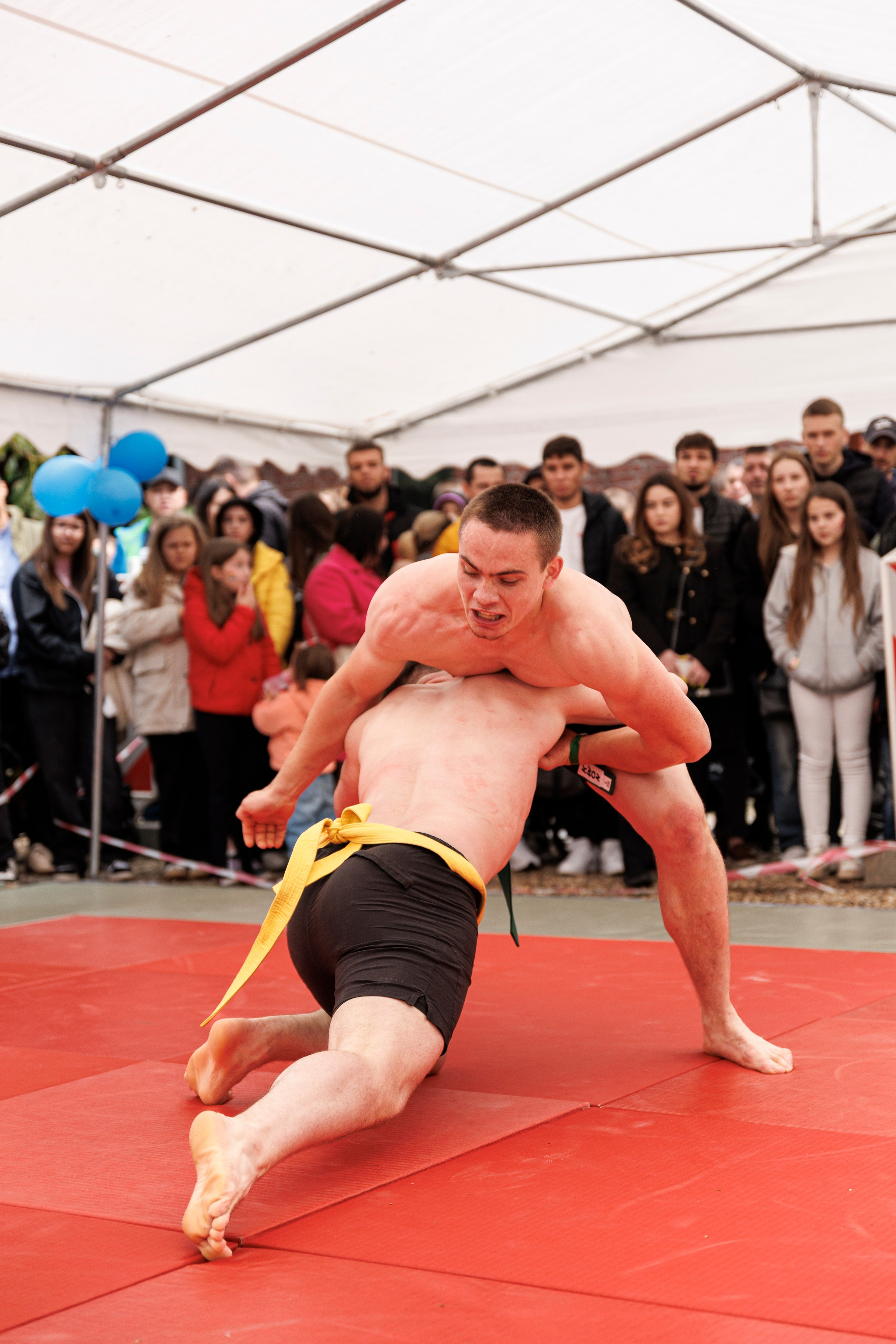 Hora Dorului 2025. Dienstleistungen