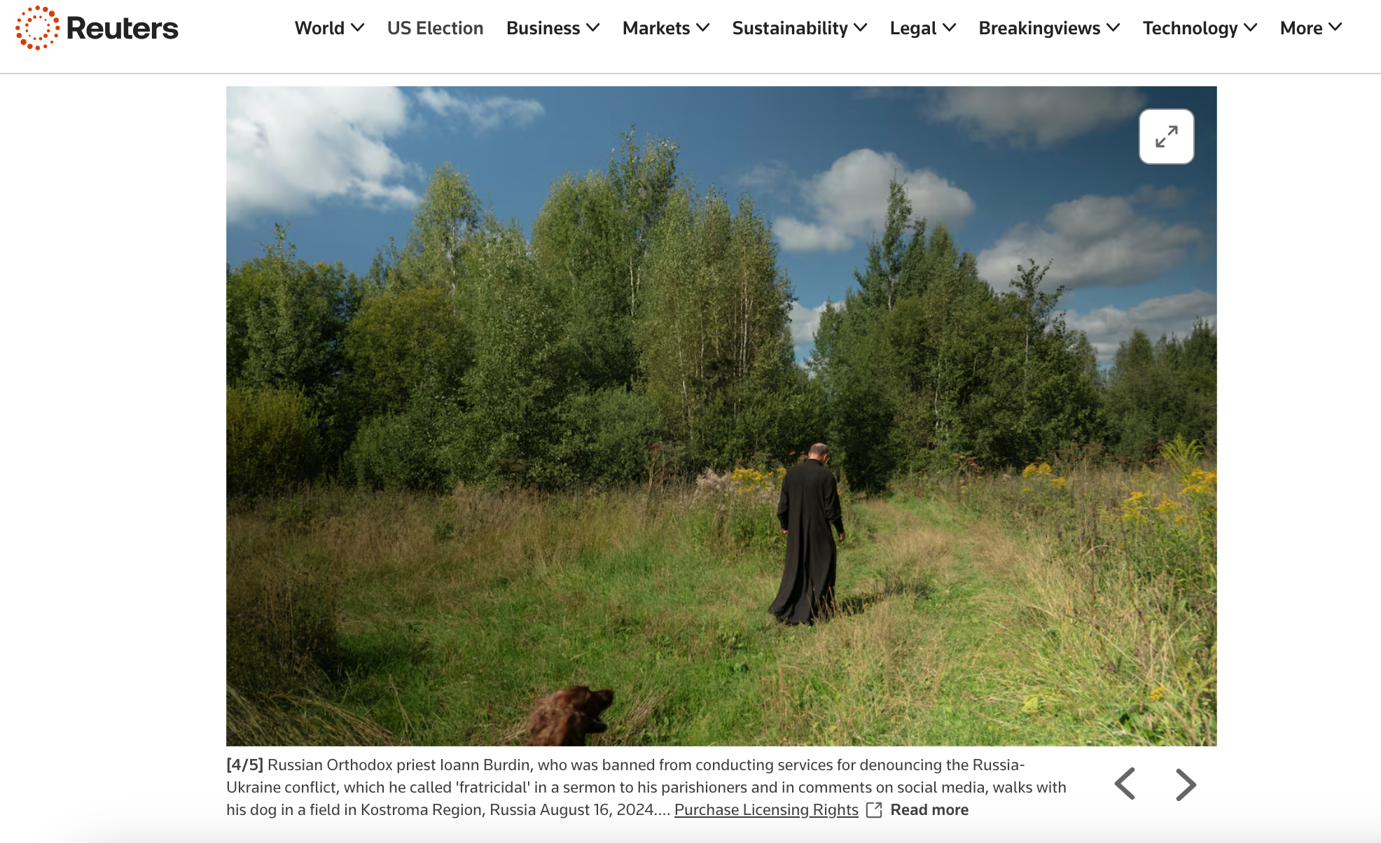 Publications. Marina Sycheva