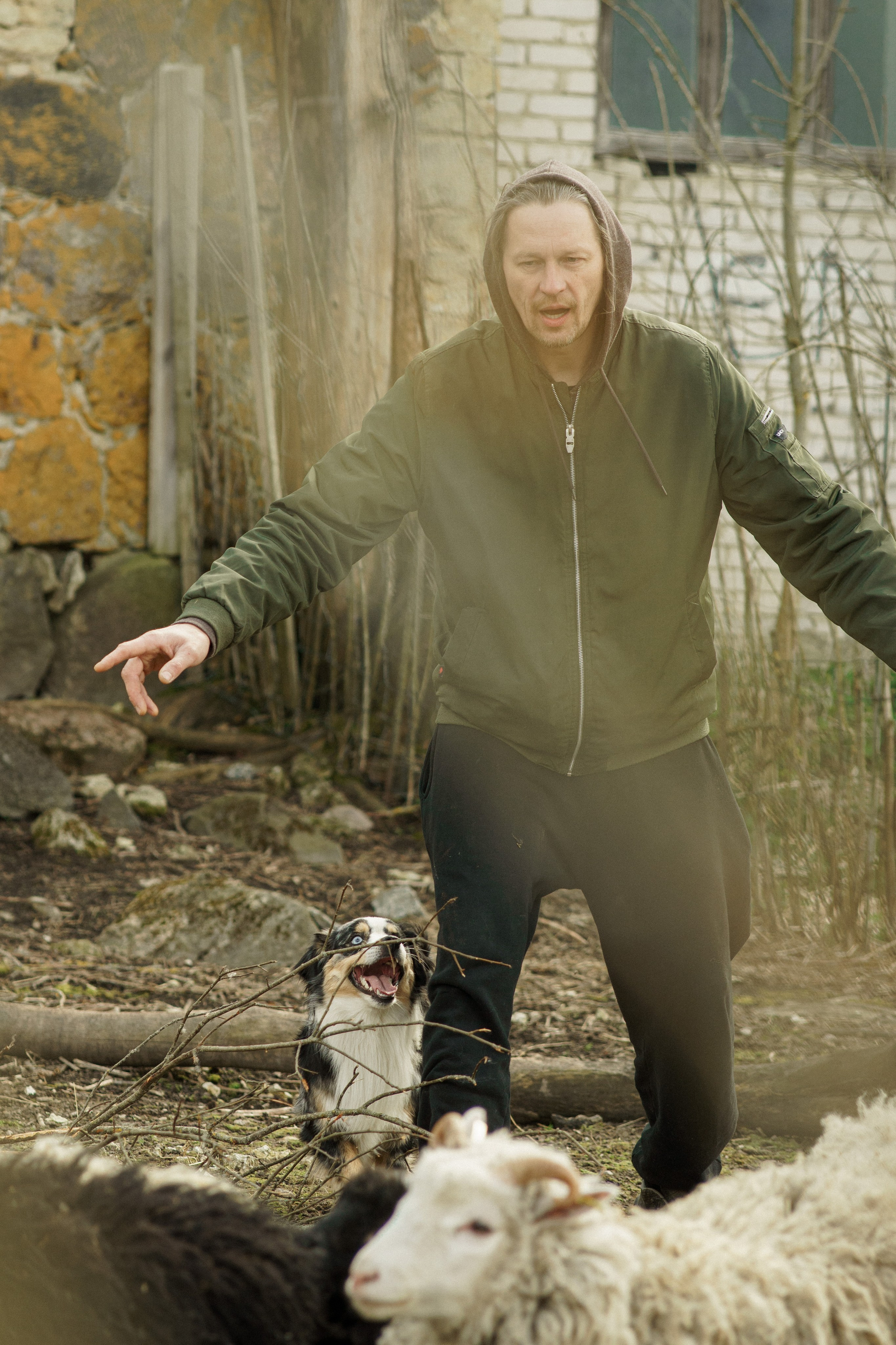 Herding Days, 26 apr. 2025. Kat Laisaar — Pet photographer in Tallinn