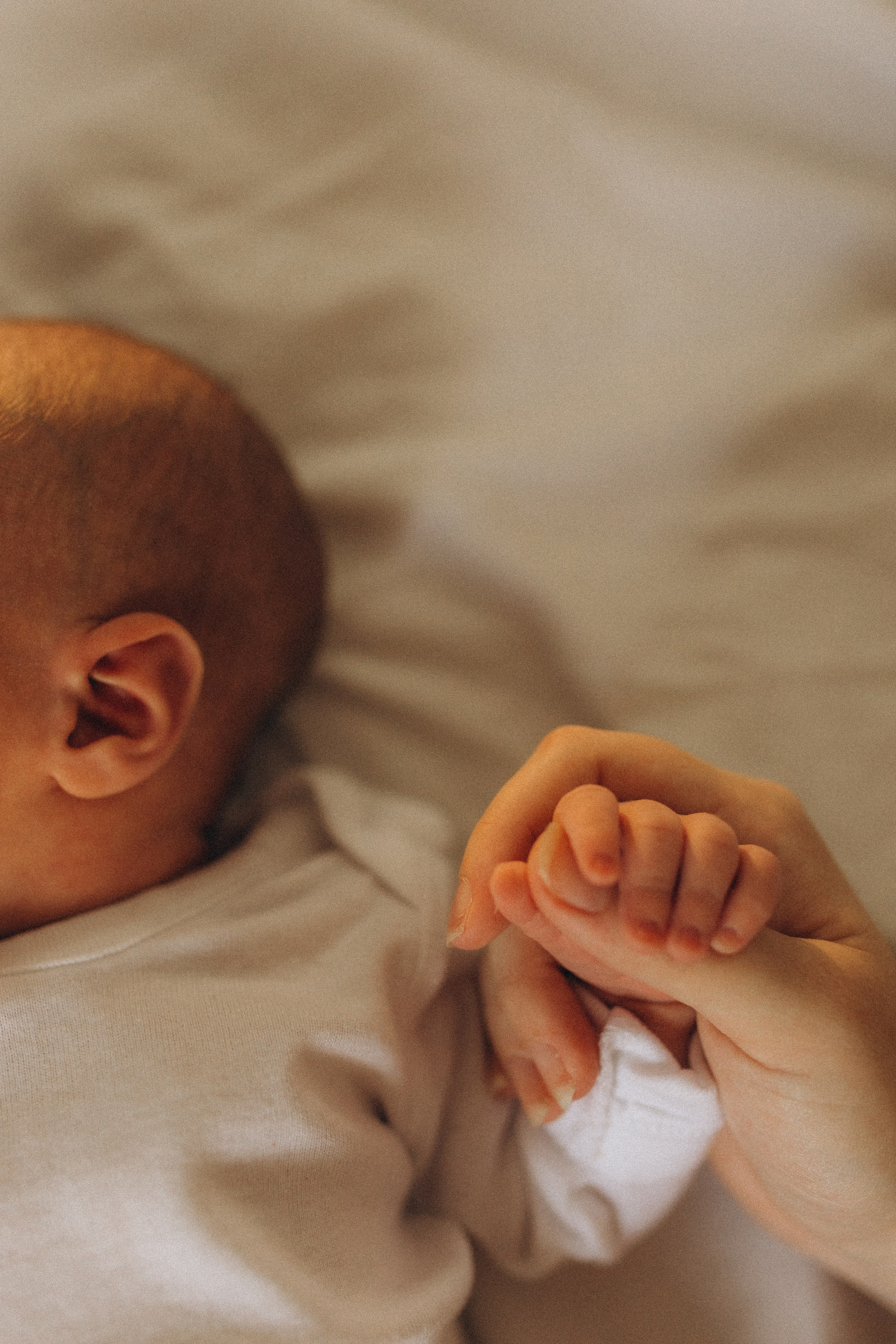 Shayne, Alon, Yanay and Kedem