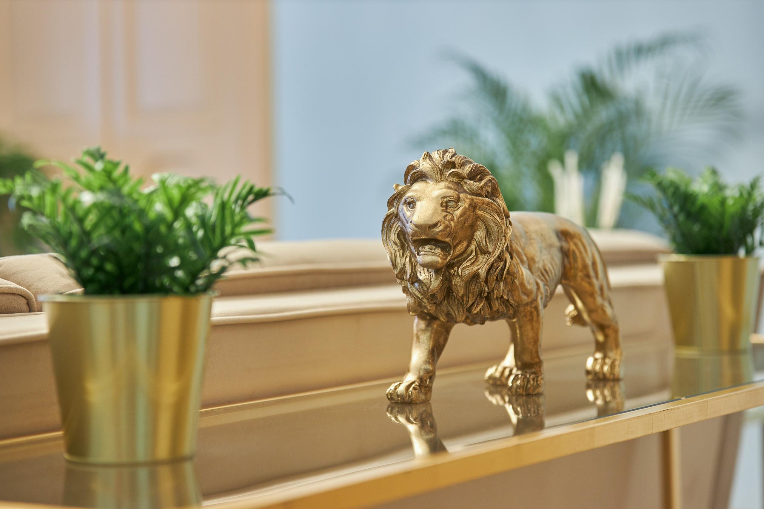 Клиника Viel. Андрей Дунин | Предметная, портретная и интерьерная съёмка