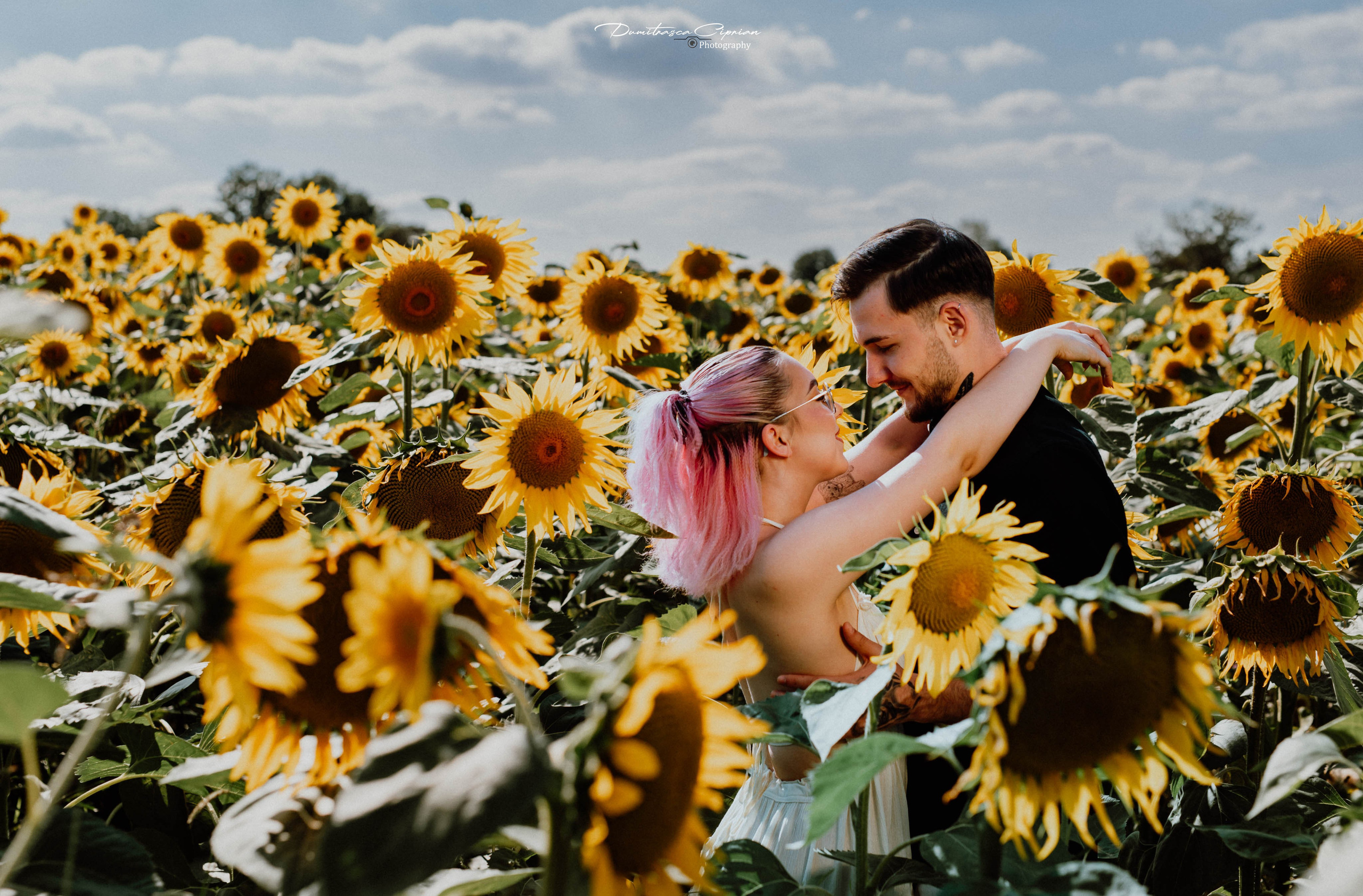 Two souls in love among sunflowers. Dumitrasca Ciprian Photography