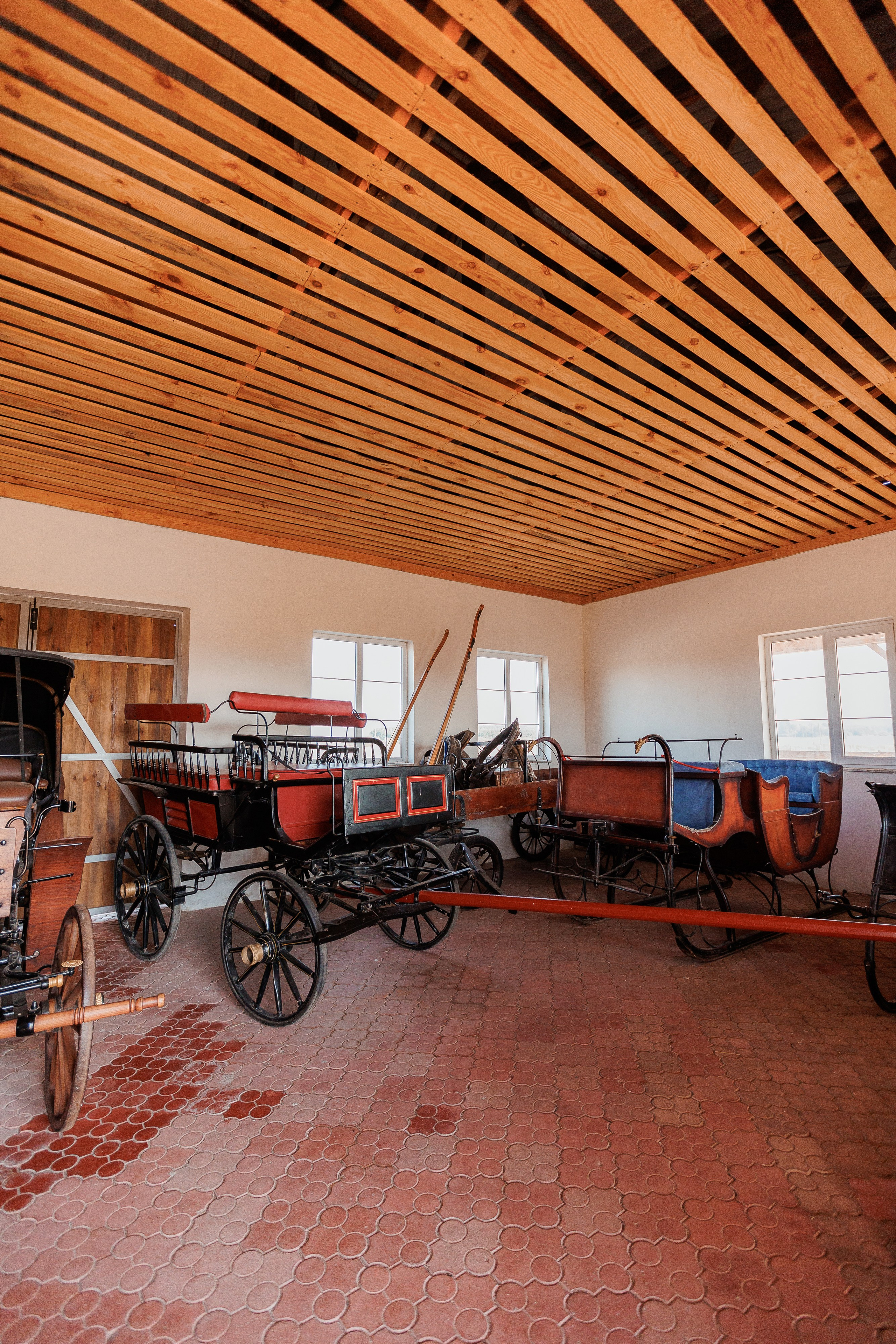 Екопарк Аміла. Ірина Терещук