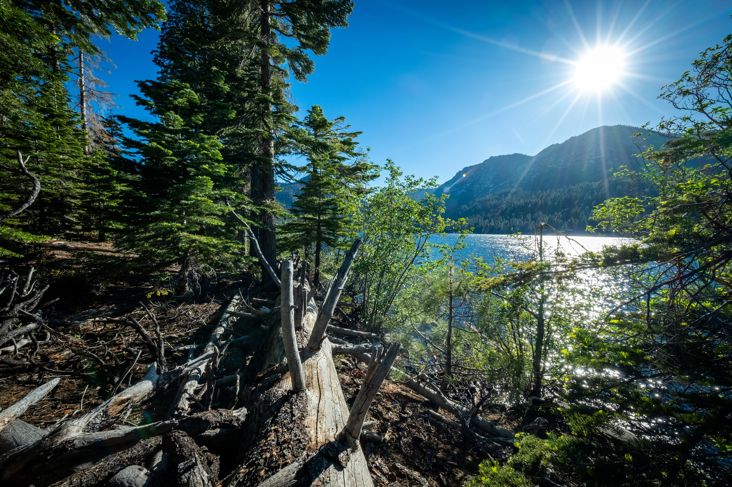 TAHOE. Reportage concert portrait photography in the San Francisco Bay Area