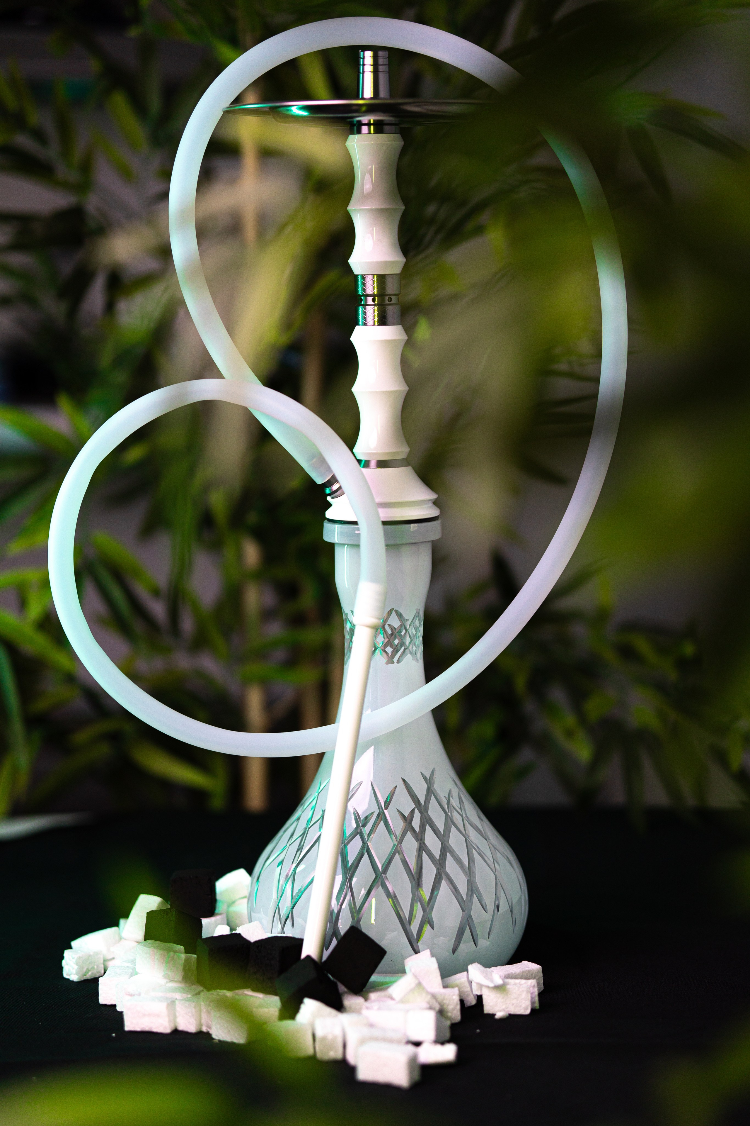 Cachimbas. Baby Beast