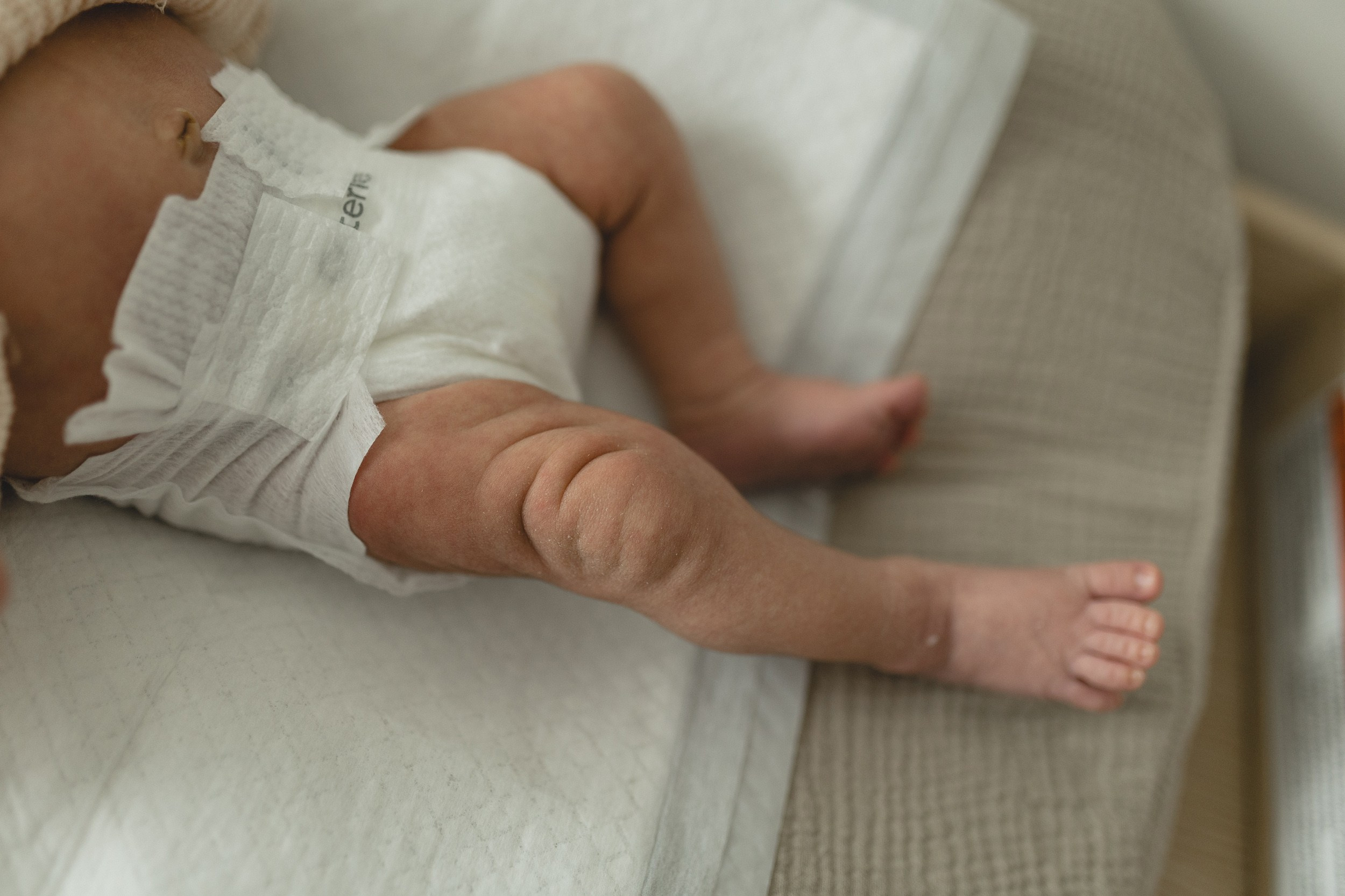 Bay Area Newborn Photo Session