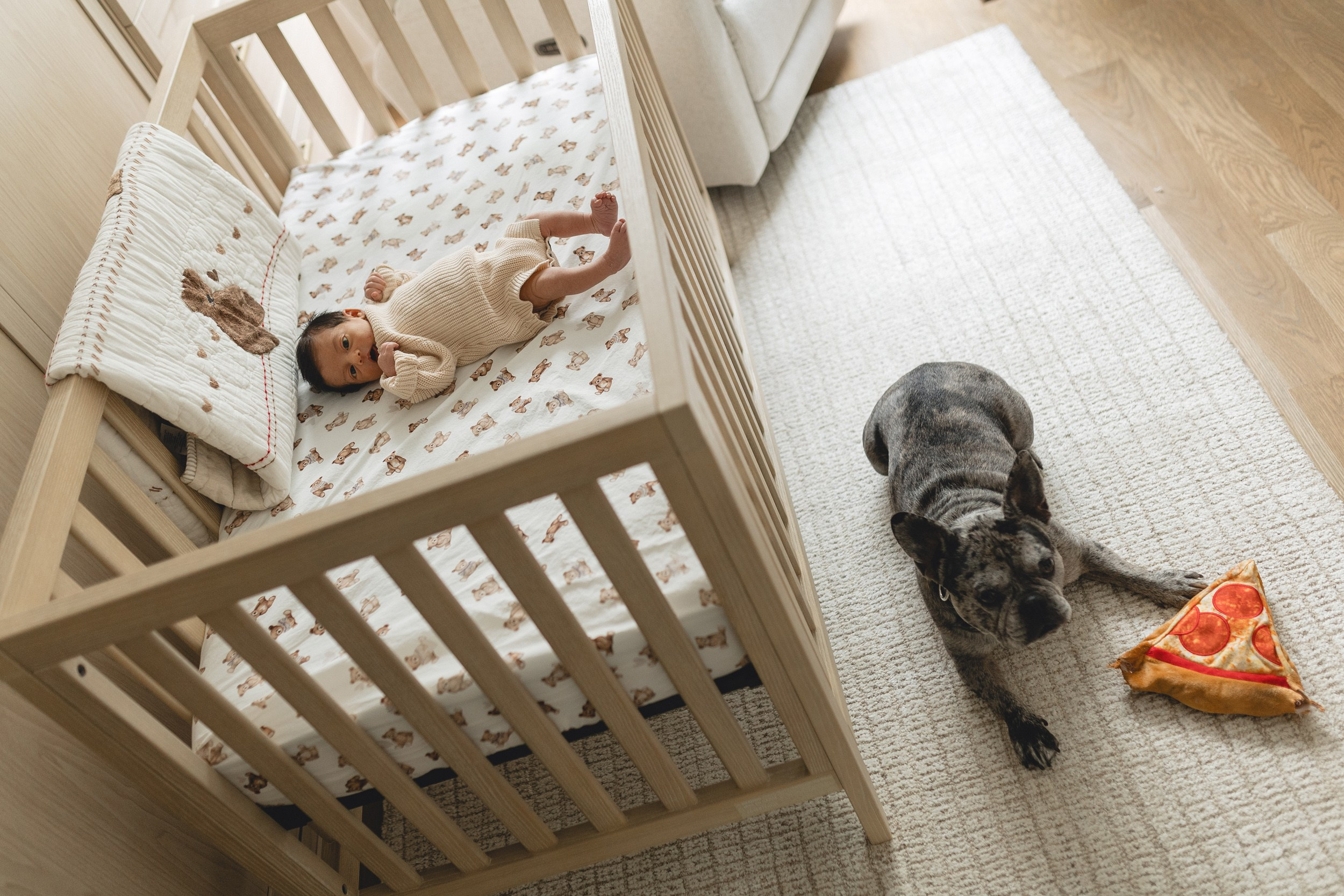 Bay Area Newborn Photo Session
