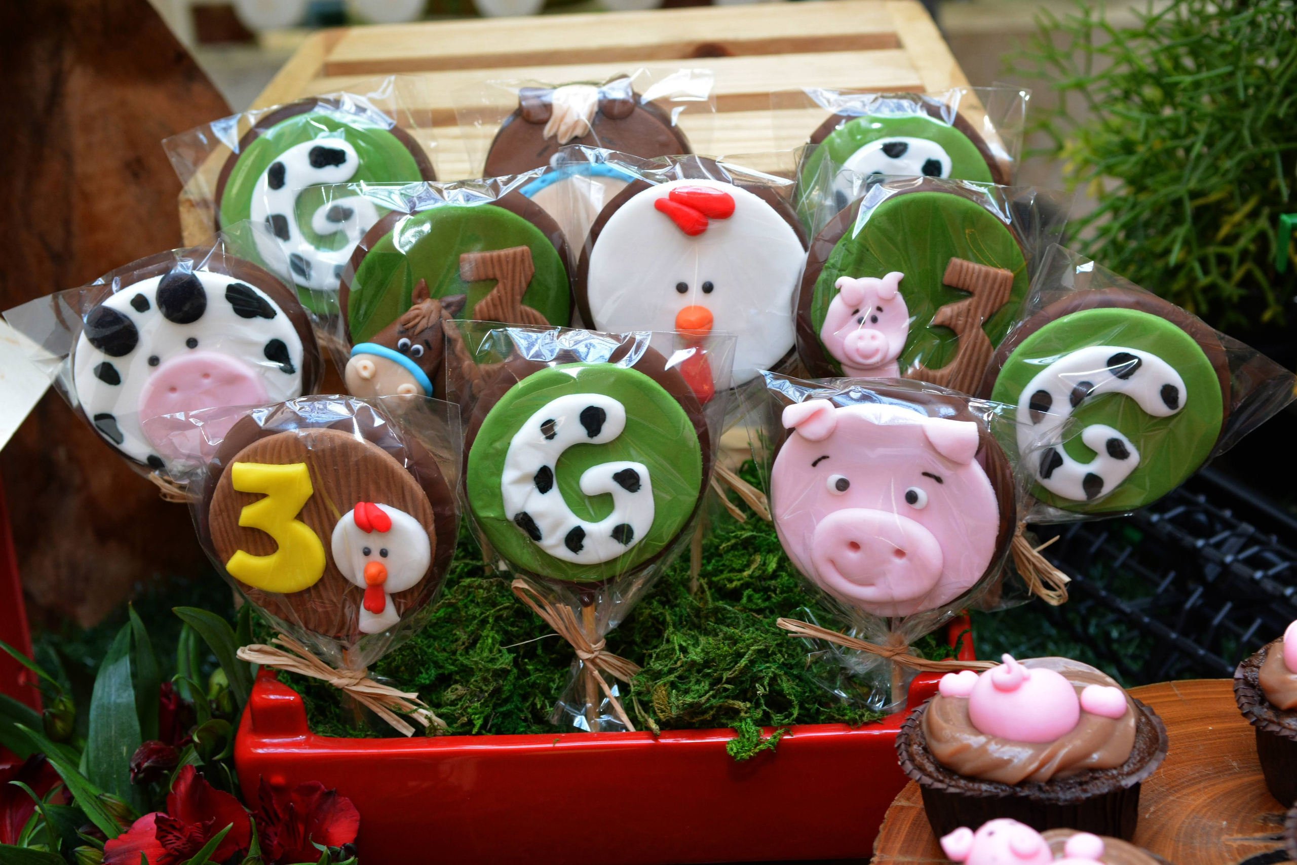 Felipe e Gustavo — 3 Anos. Rbfotoevideo