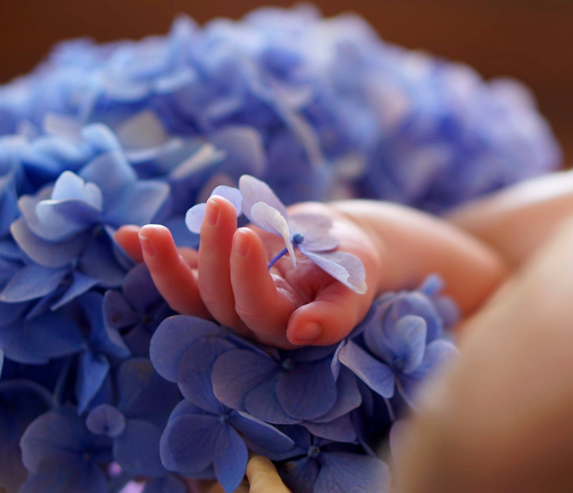 Newborn studio. Bébé Newborn Photographer in Copenhagen