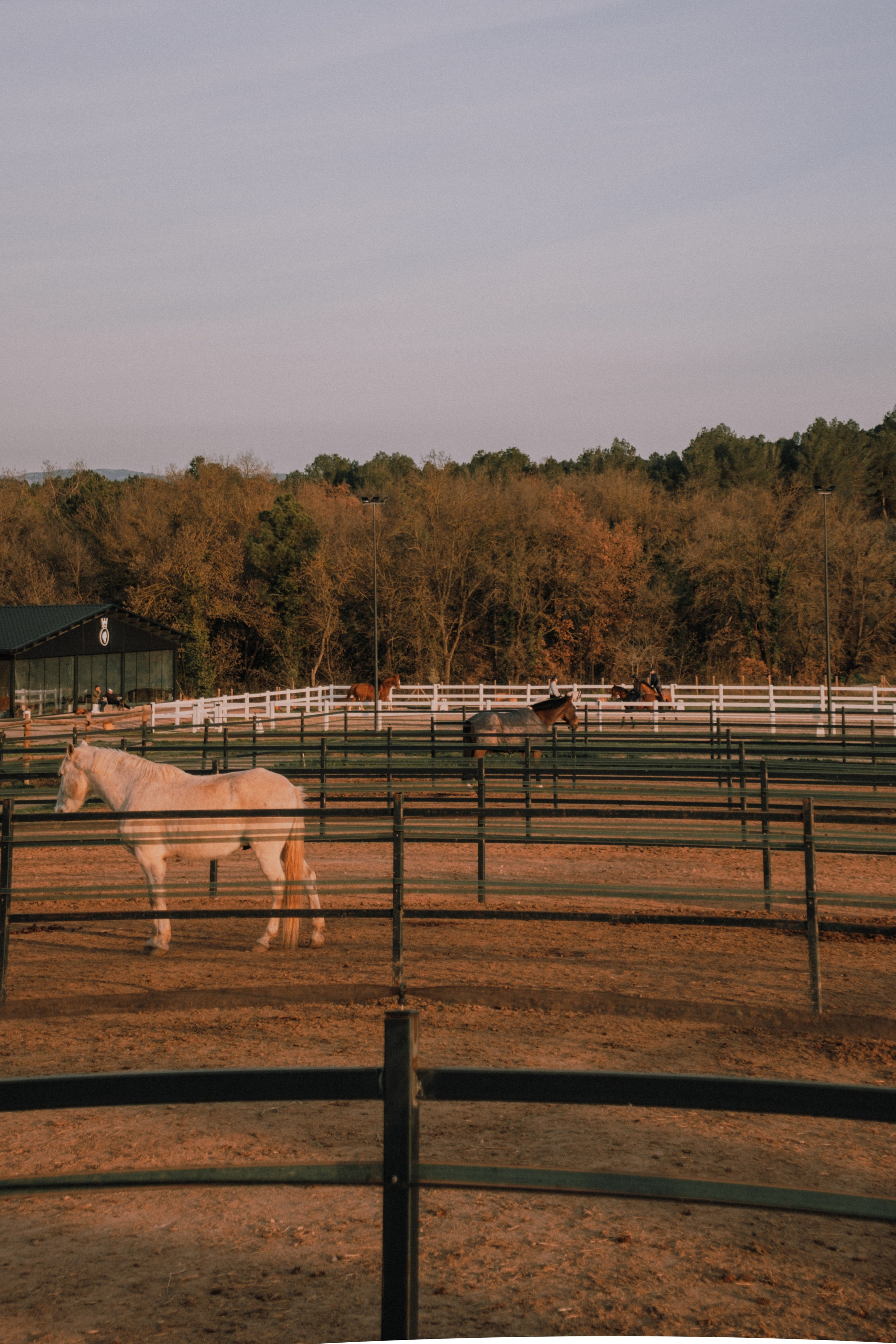 Sesión familiar en el bosque. Fotografía profesional en Calafell - Elena Medvedeva