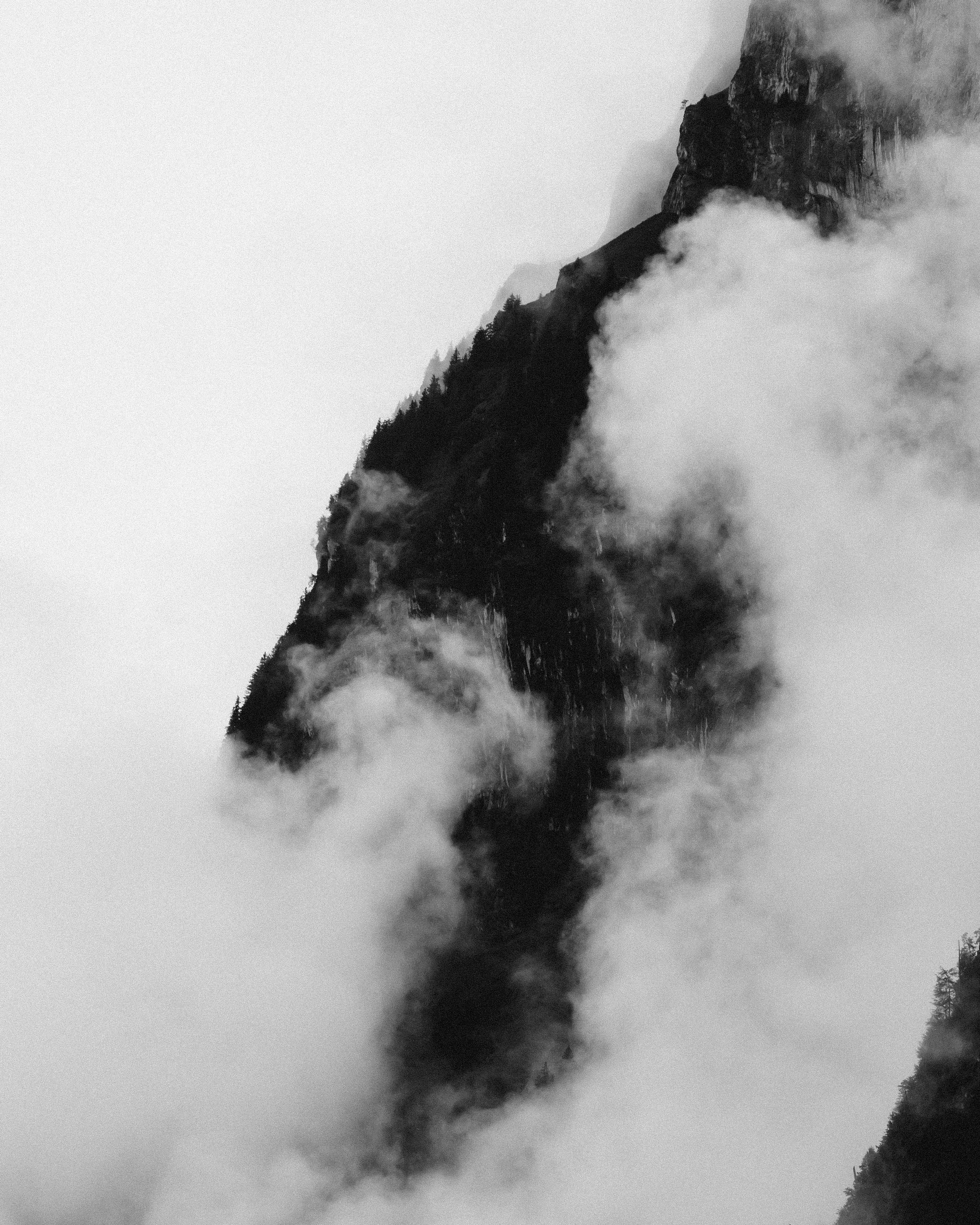 BLACK AND WHITE. OLGA REPTIK