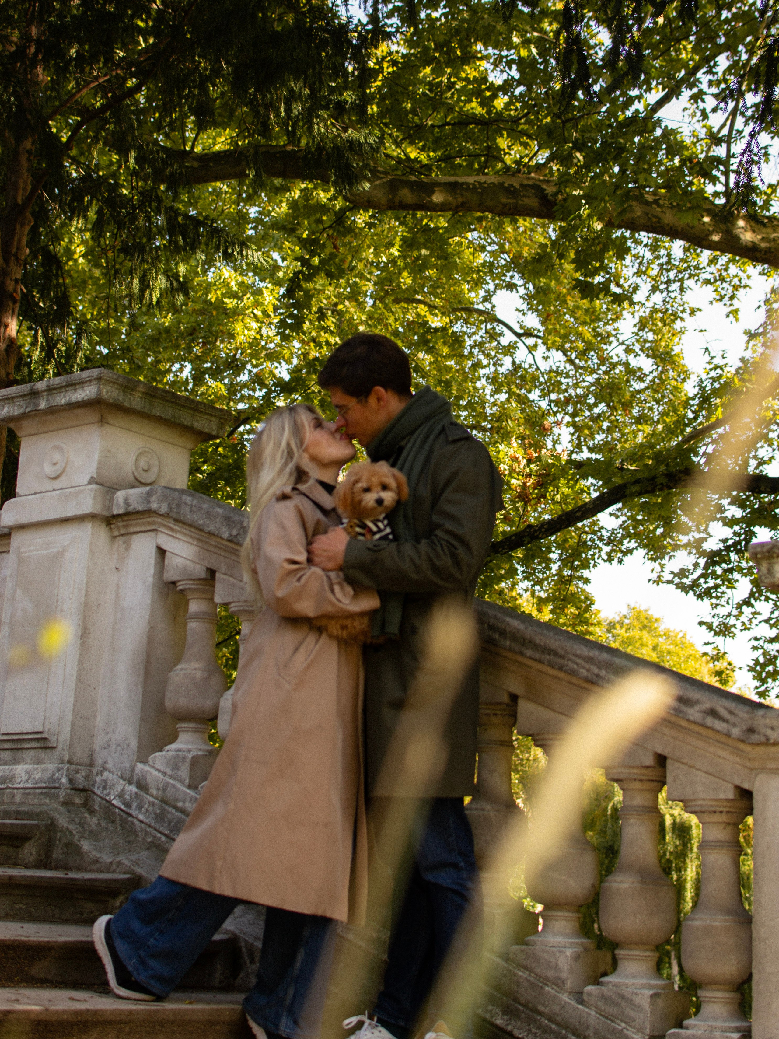 Barney, Nastya et Kolya. Photographe animalier à Paris Anna Pereira