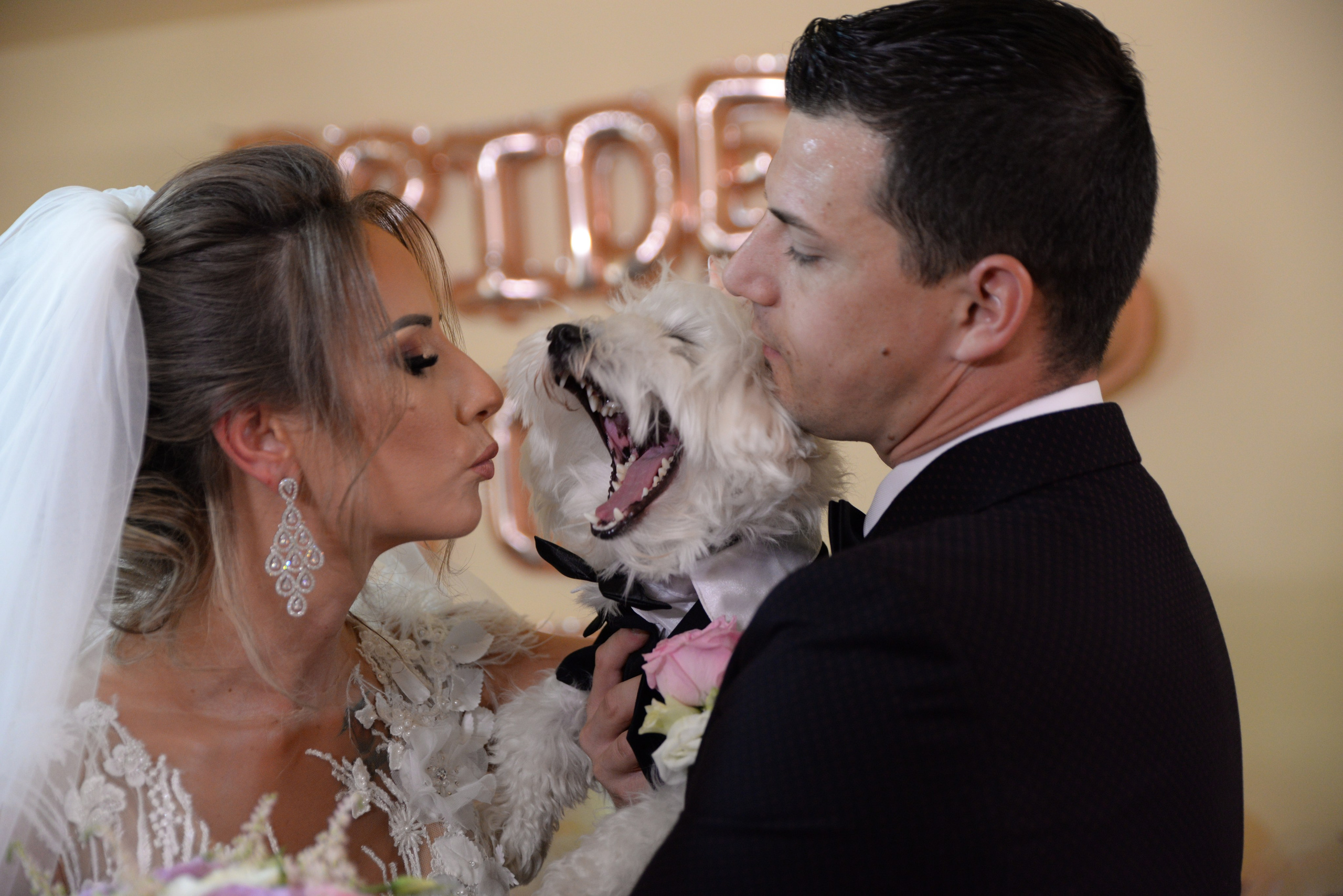 Wedding Photography. Daniel Criste Fotograf