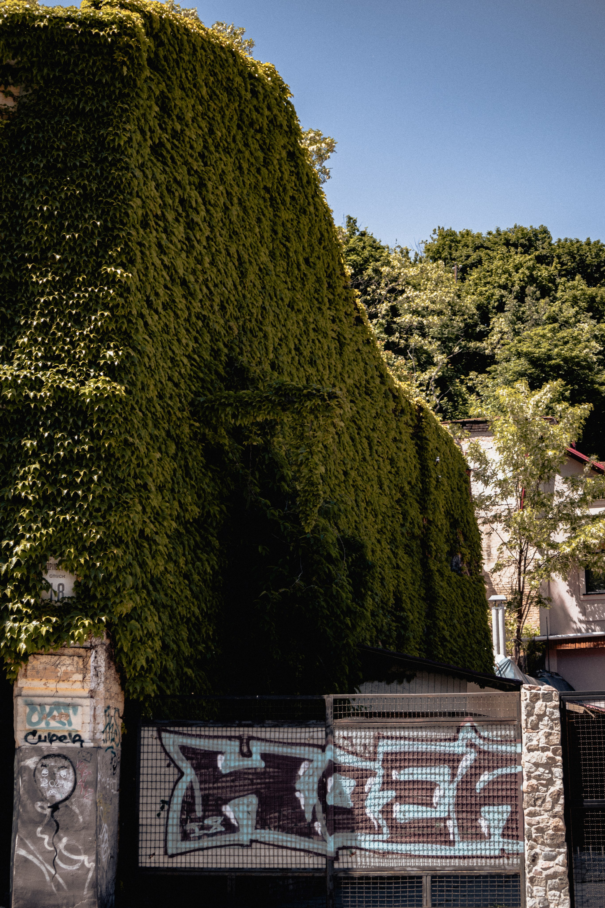 Kyiv. Дизайнер и Фотограф в Кишинёве Бусуйок Станислав