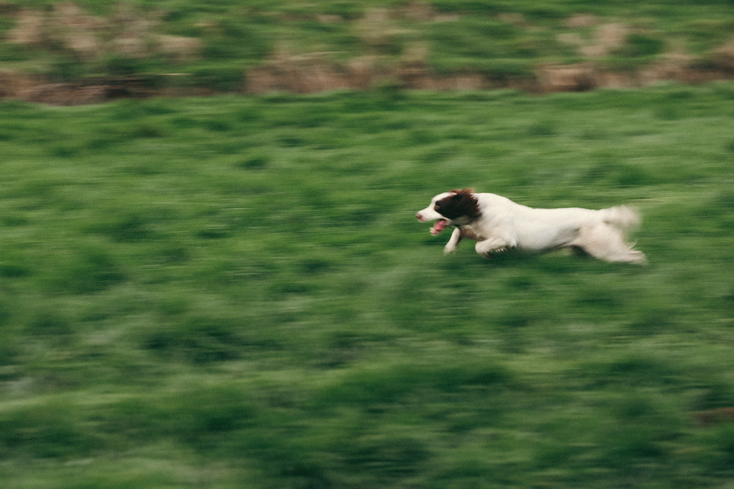 Salperton | Family Photographer in London and Kent
