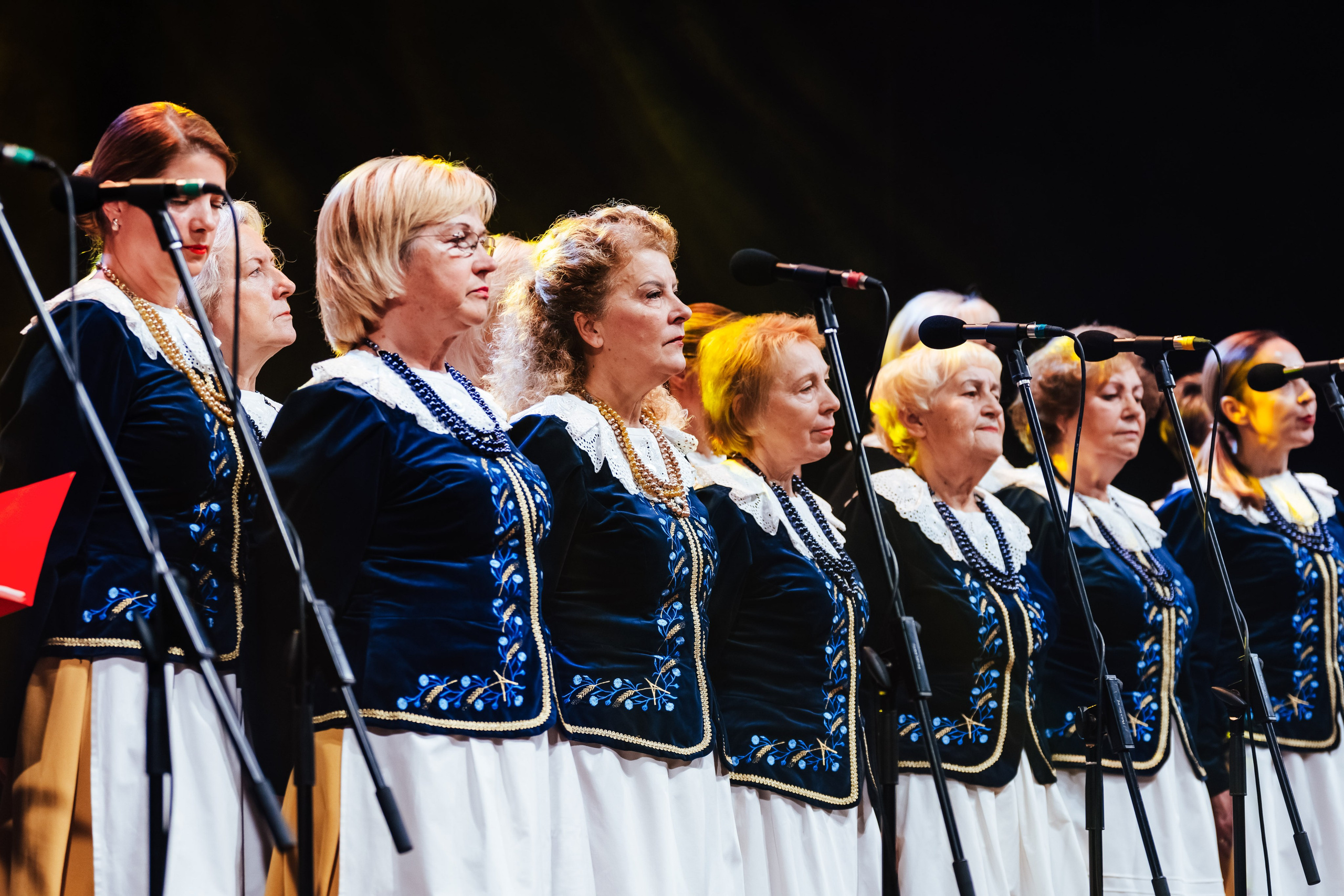 Traku kulturos centro koncertas. OnePIXEL