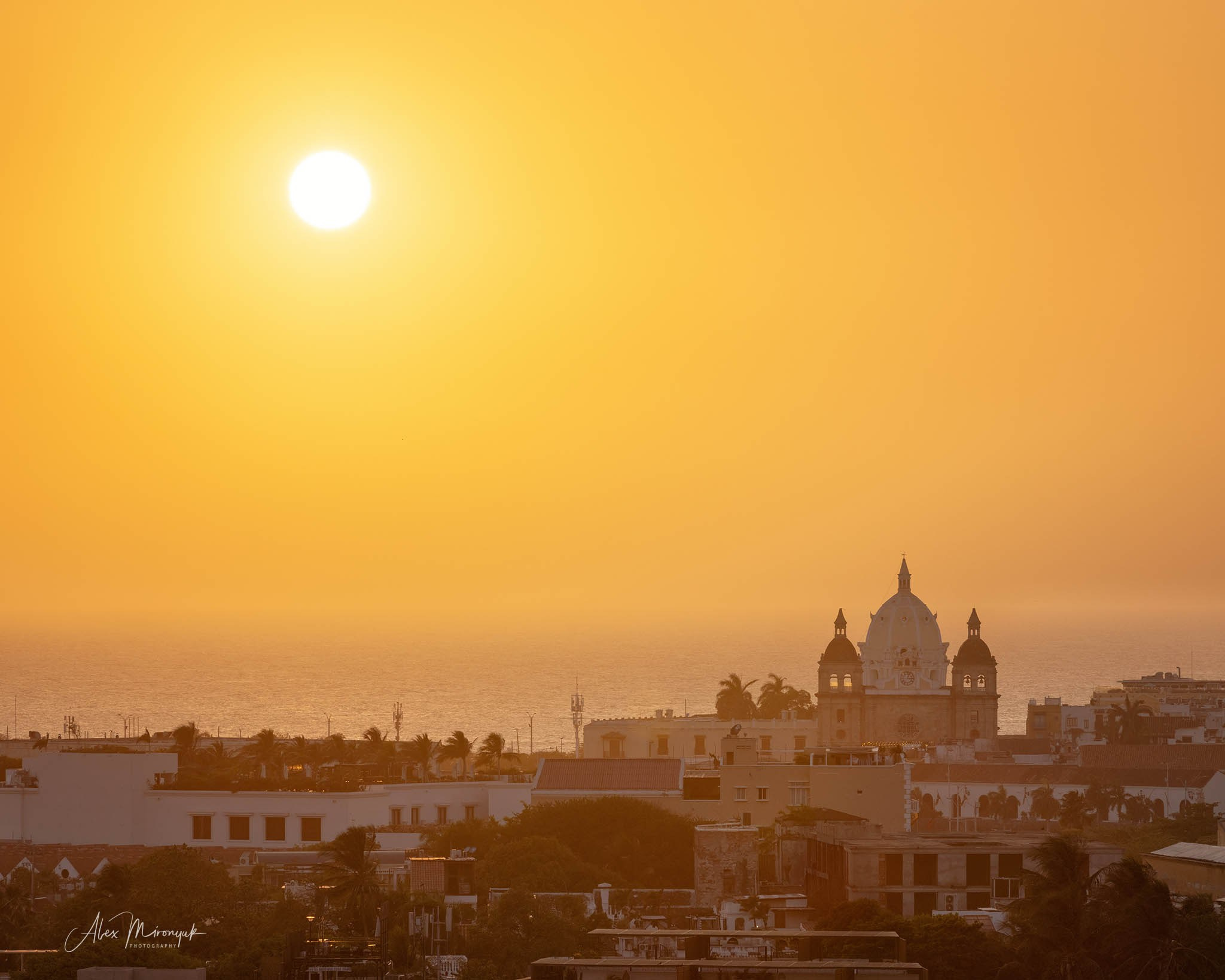 Colombia in Style. Pet, Senior, Landscape, portrait studio, photographer in Miami and Sou