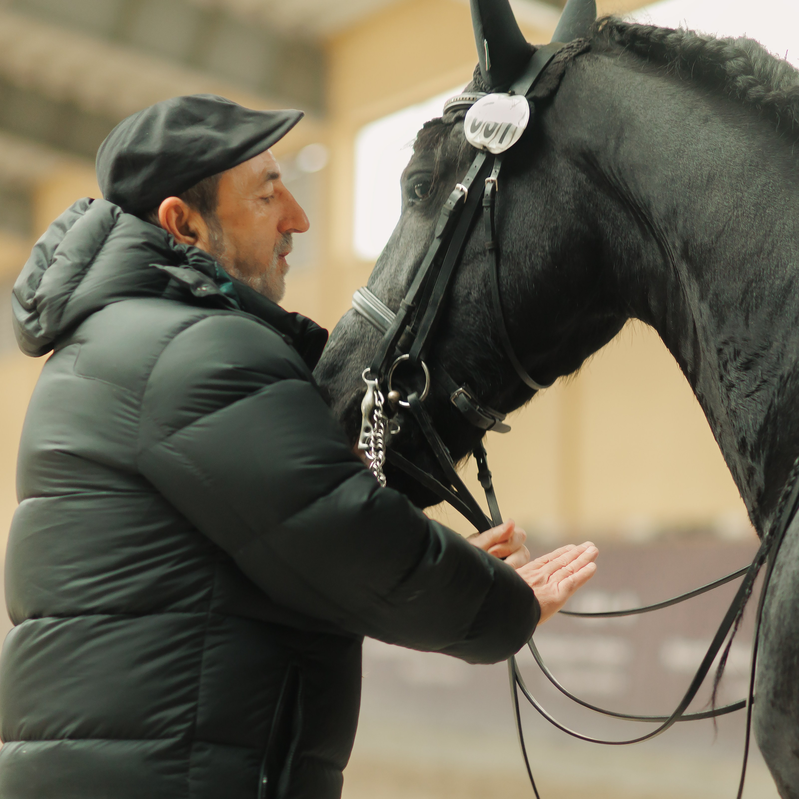 Fotografia koni Wrocław \ ujeżdżenie, Partynice. Kaja | fotograf we Wrocławiu | ludzie i psy