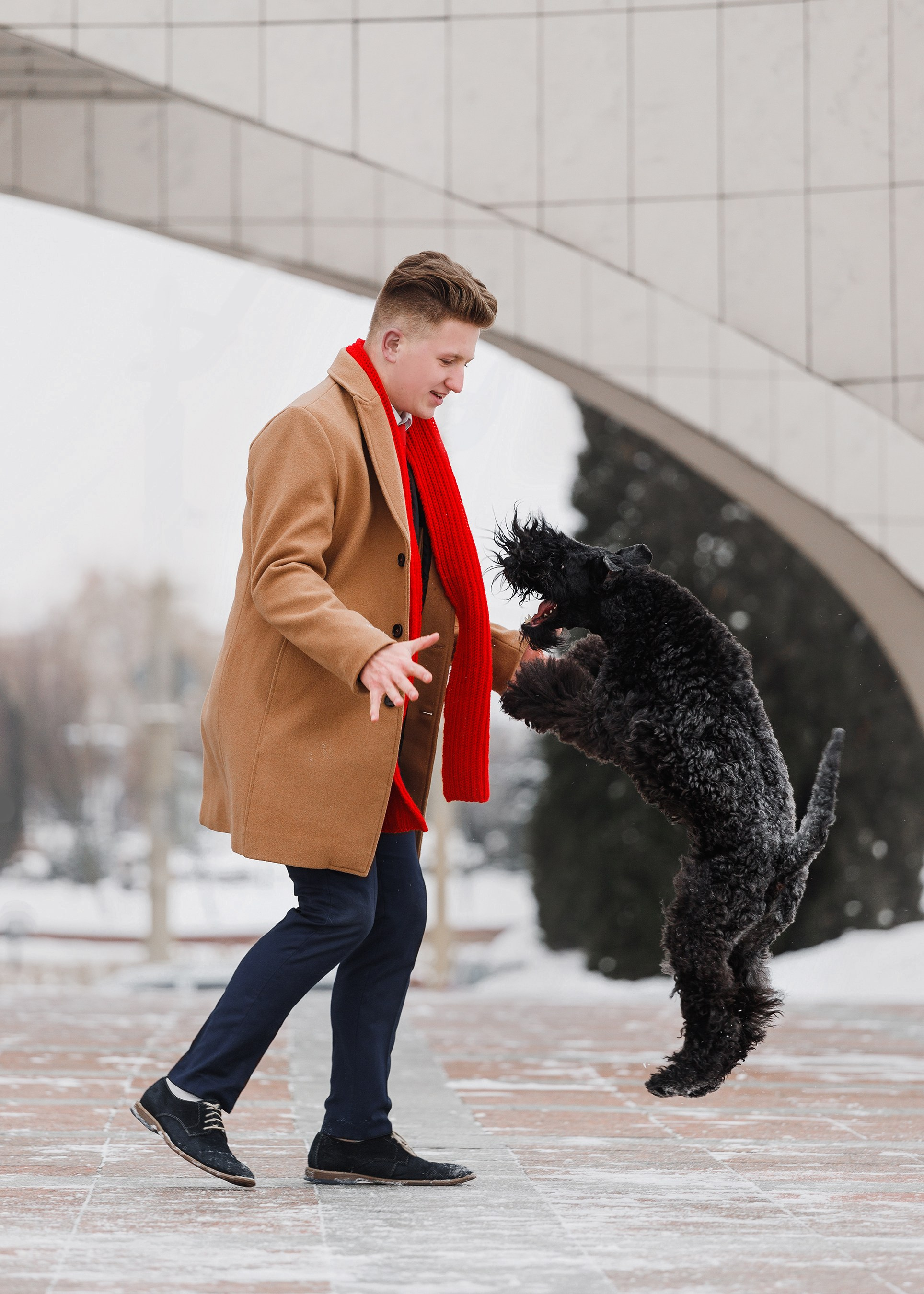 Kerry blue terrier & italian spinone. Kaja | fotograf we Wrocławiu | ludzie i psy