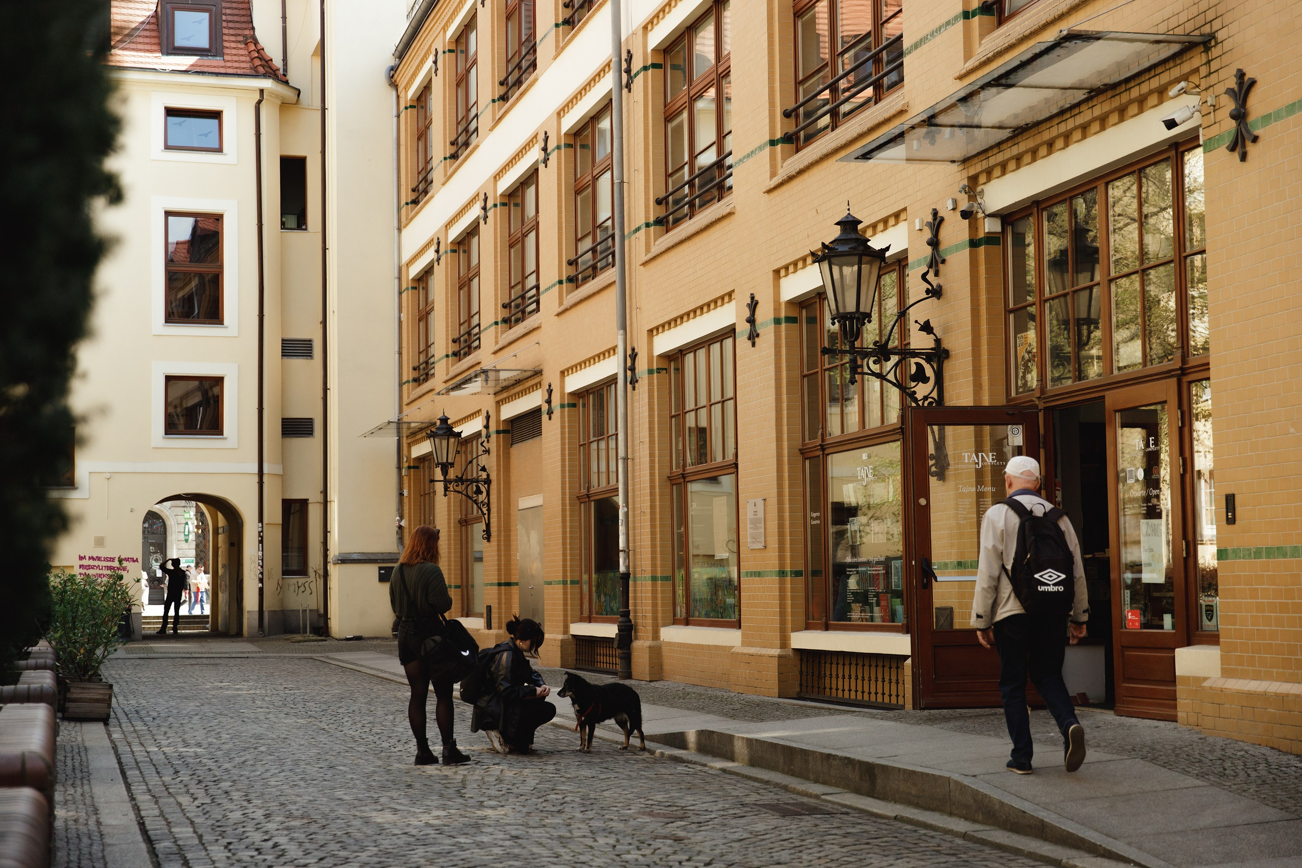 Wroclaw | the best ones. Kaja | fotograf psów we Wrocławiu