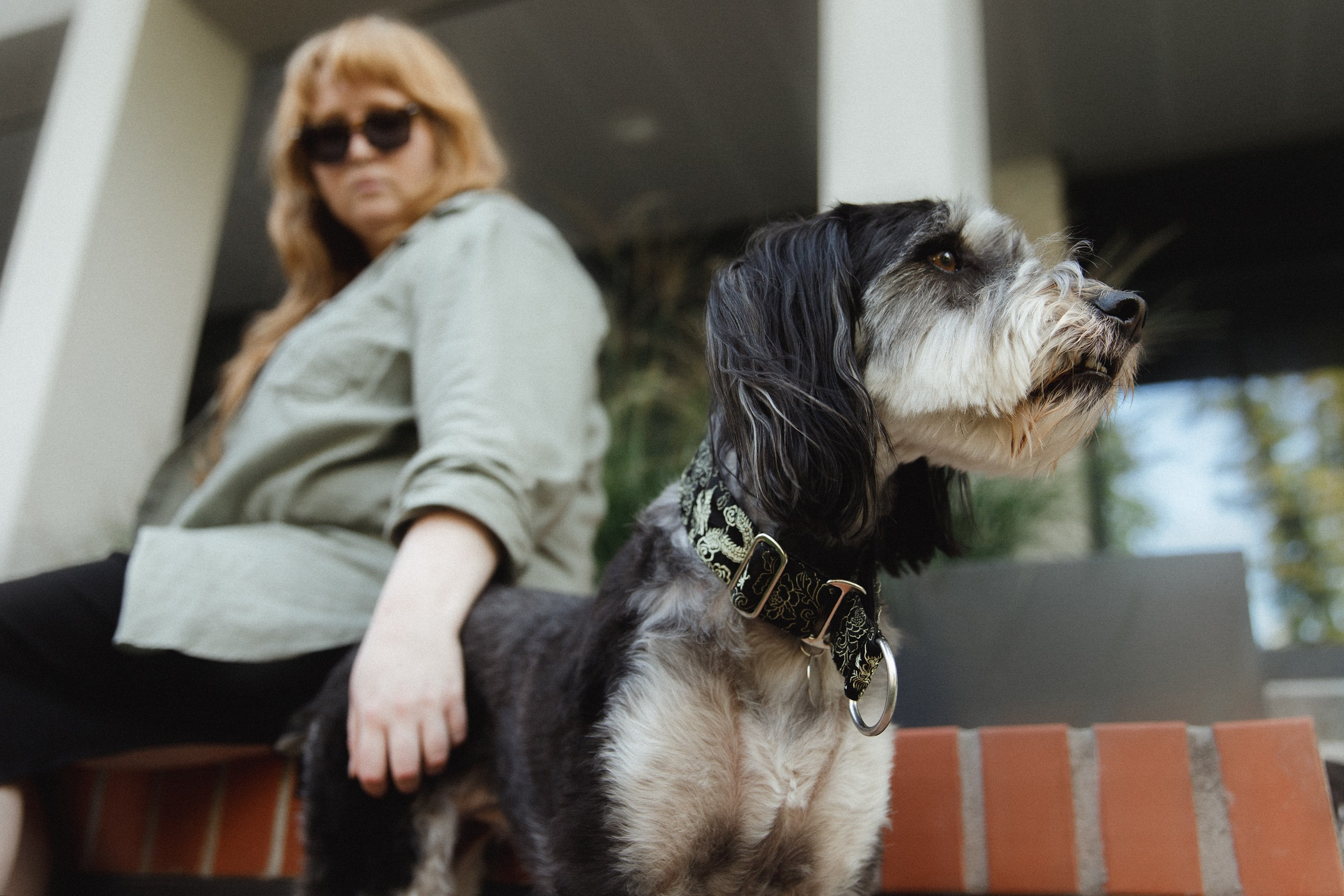 Lera & Flora. Kaja | fotograf we Wrocławiu | ludzie i psy