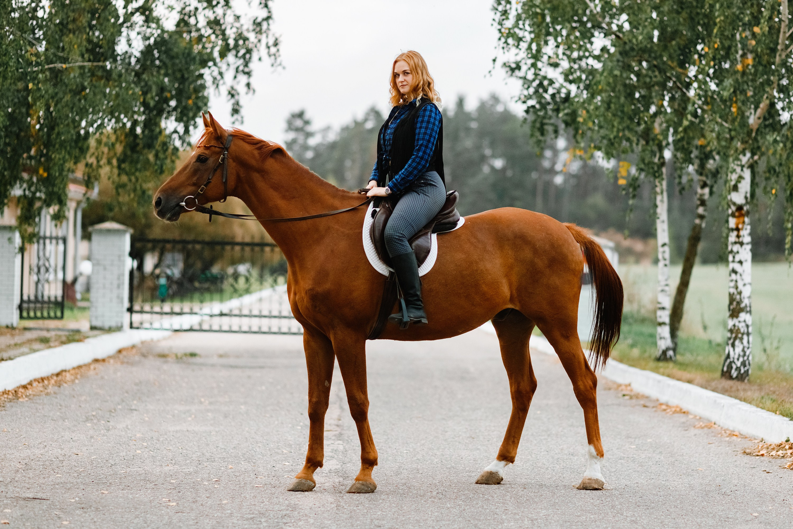 Victoria & her horses, autumn. Kaja | fotograf psów we Wrocławiu