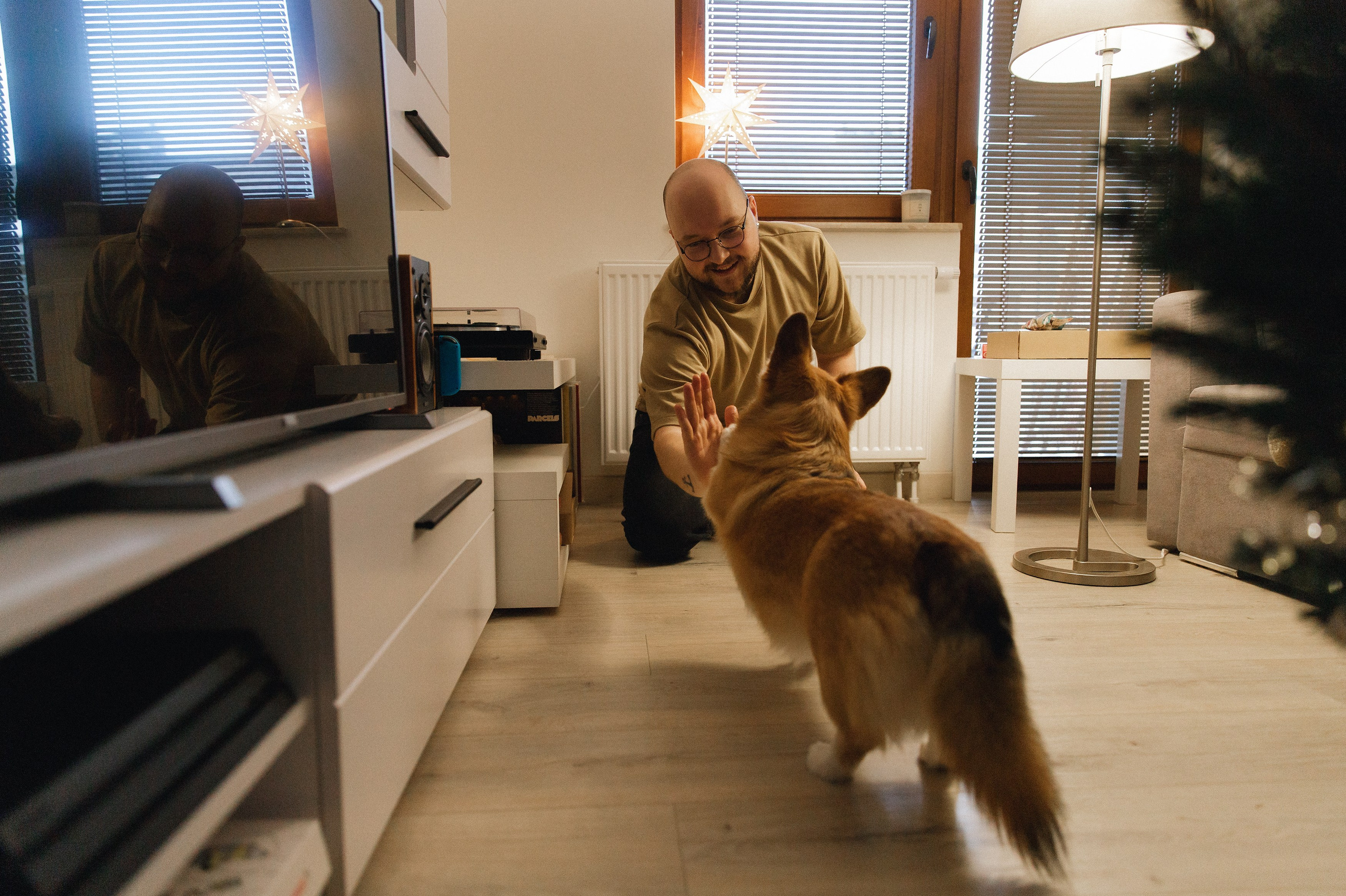 Dasha & Daisy. Kaja | fotograf psów we Wrocławiu