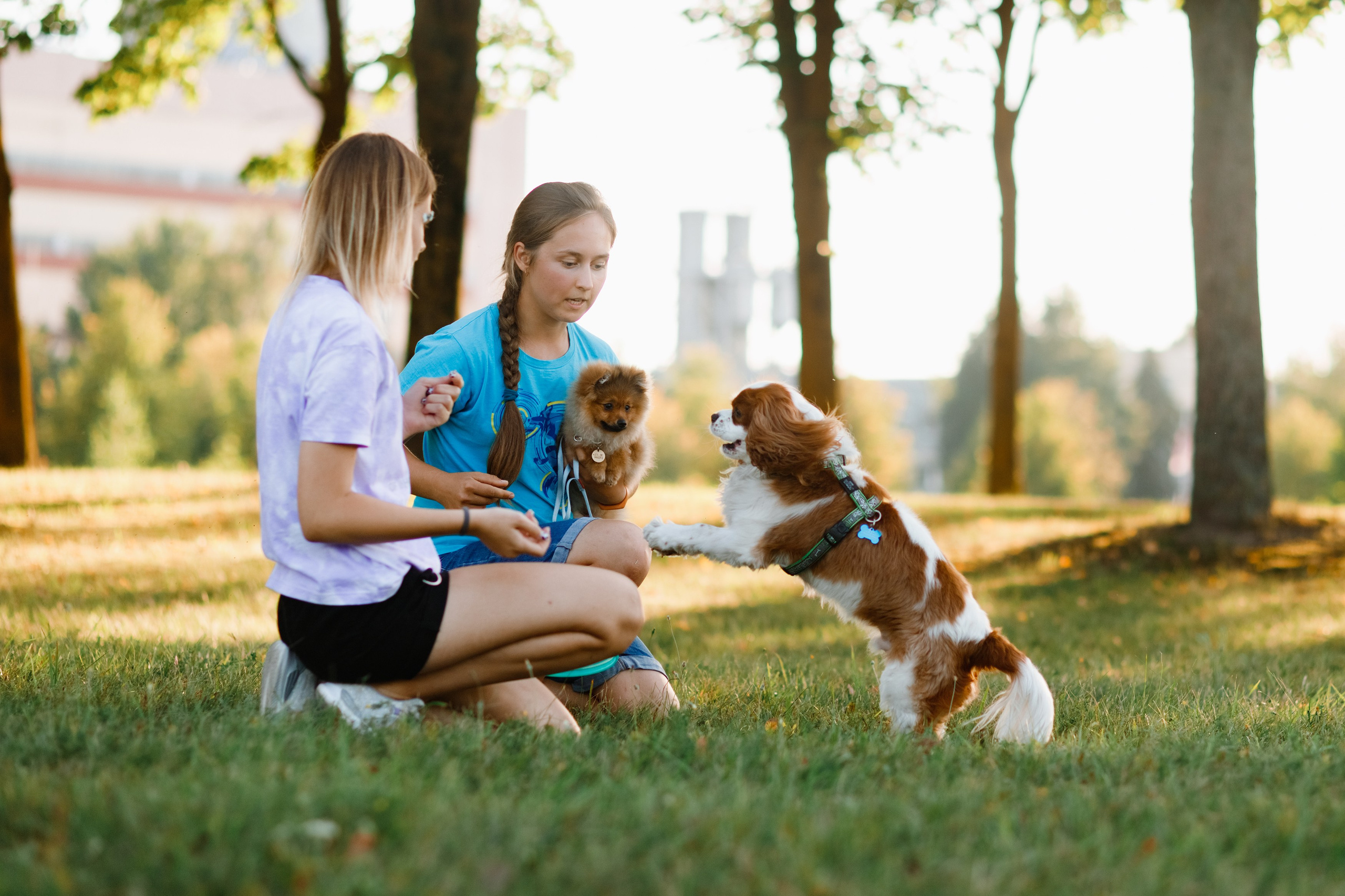 Frisbee workshop of Darya Lukina. Kaja | fotograf we Wrocławiu | ludzie i psy