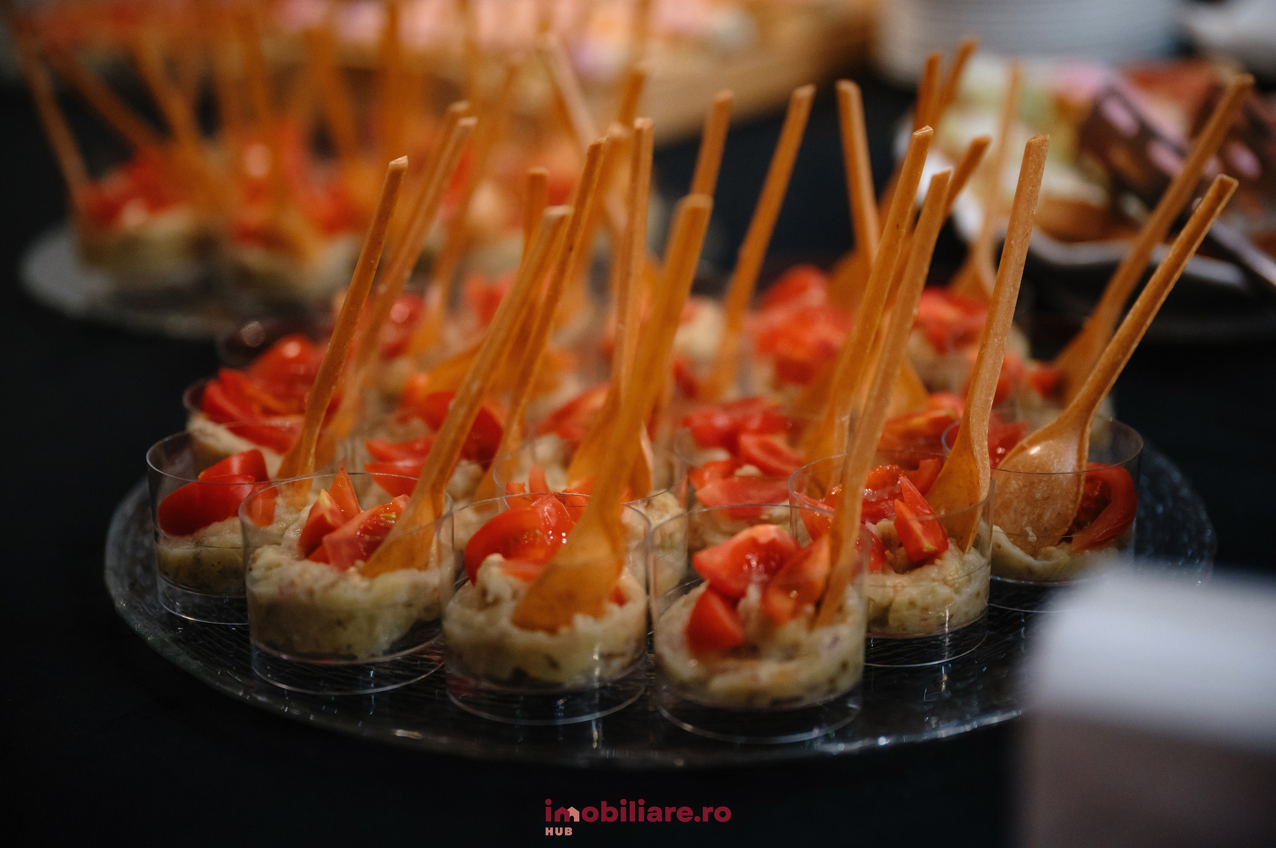 Imobliare HUB. Laurentiu Stefan StoryTeller