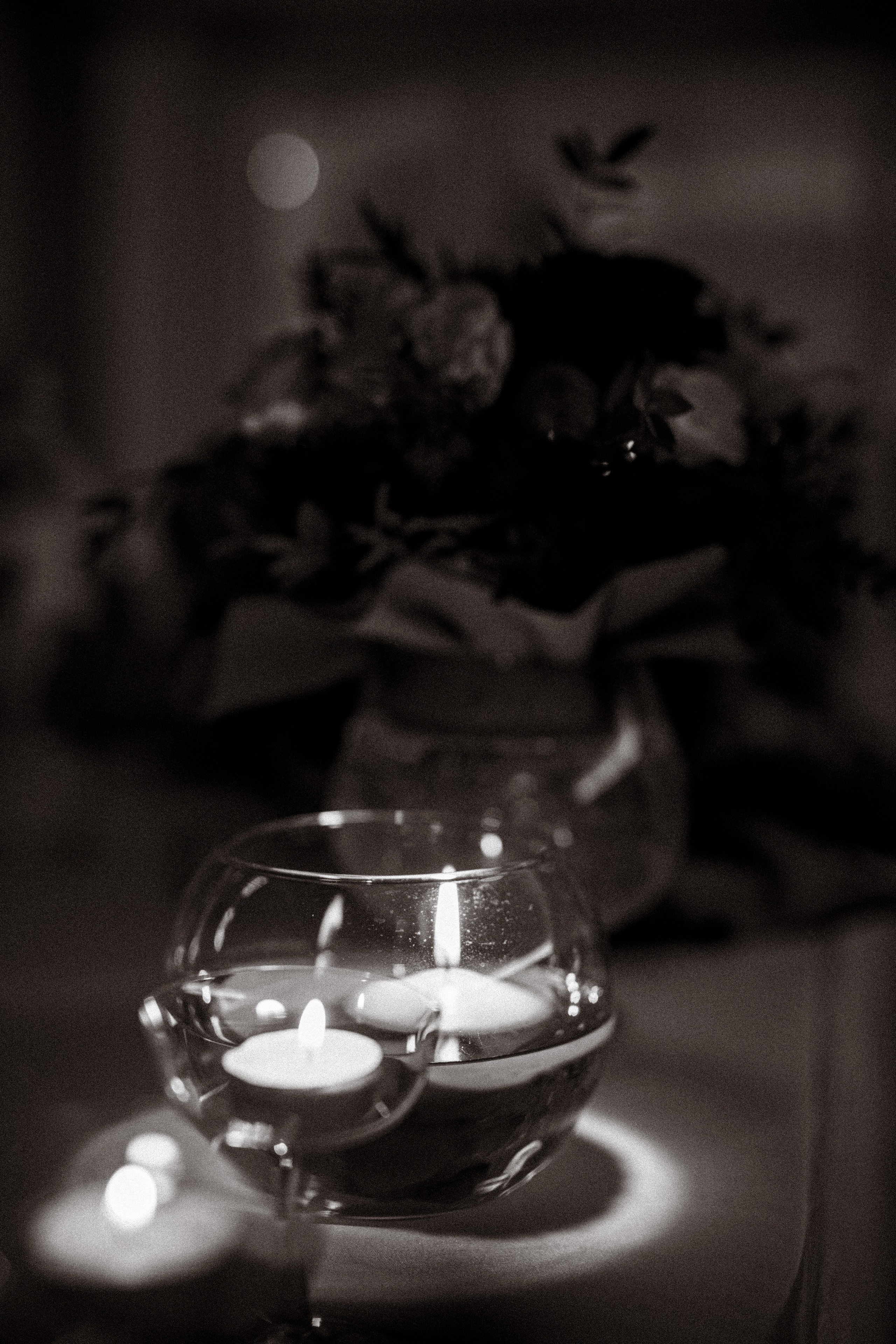 Sofija & Vladimir. Marko Tucić Photography | Fotograf Zrenjanin