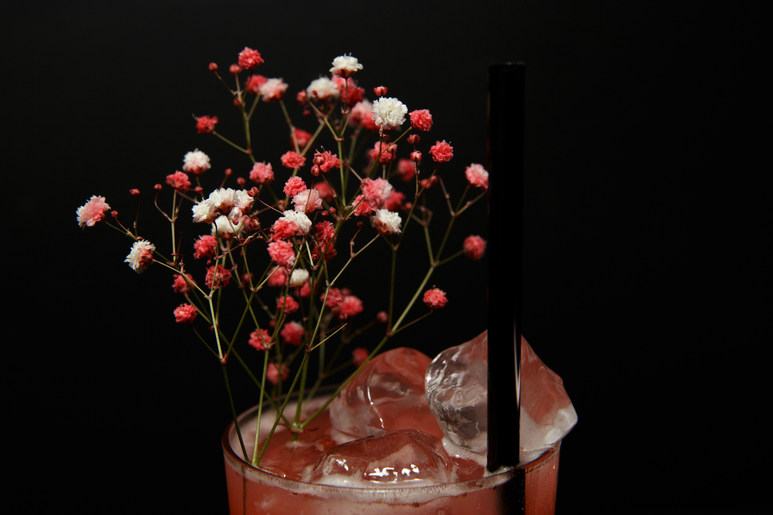 Контентная съемка для бара Focus. Портретный и репортажный фотограф в Израиле Рома Бирман