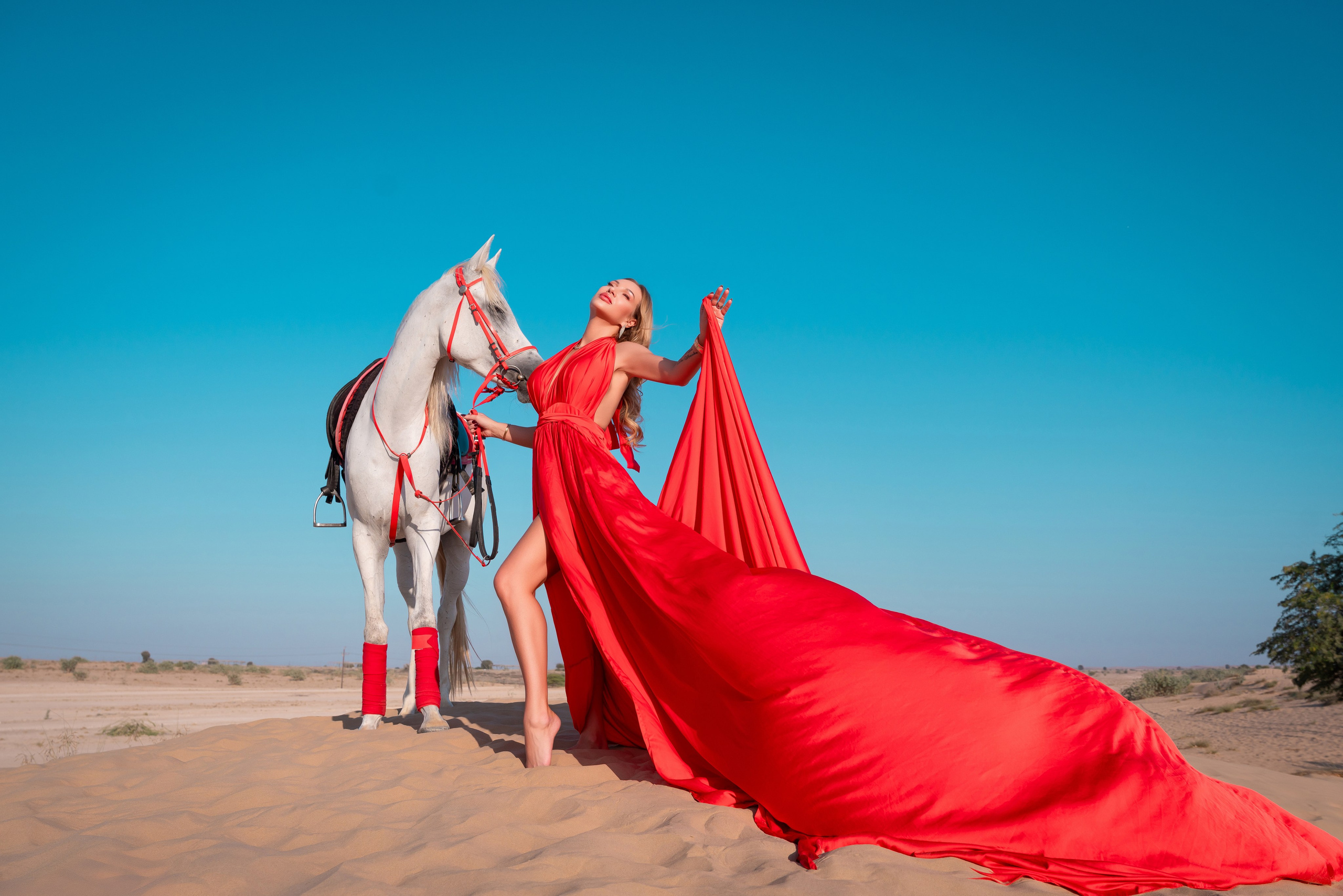 With horses and camels. Photographer and videographer in Dubai Dmitry Gromov