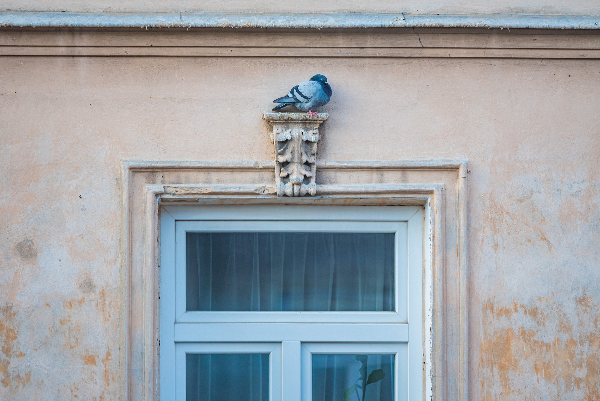 Lublin. Photographer in Yerevan