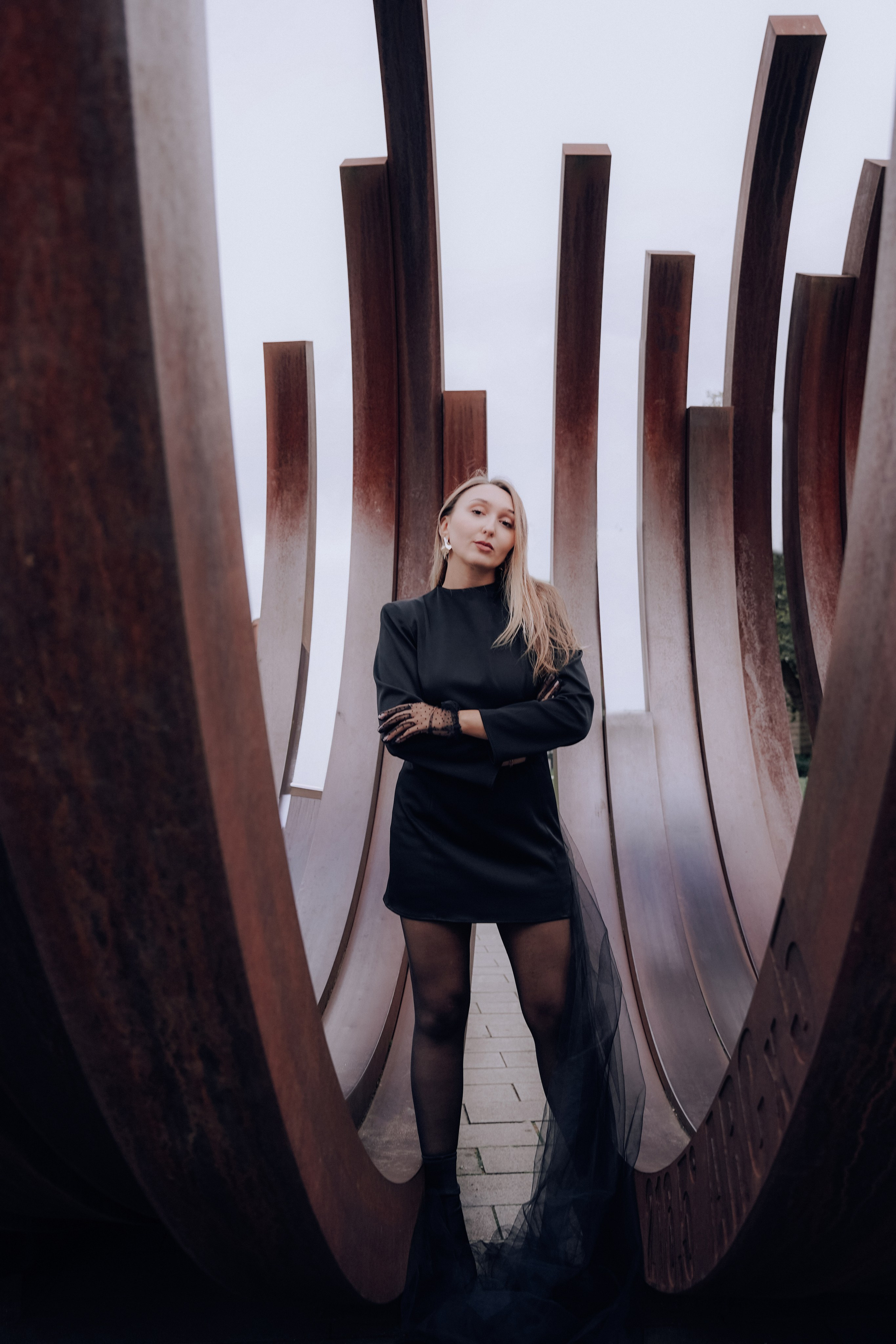 Duisburg schwarzer Schwan. Photograf NRW