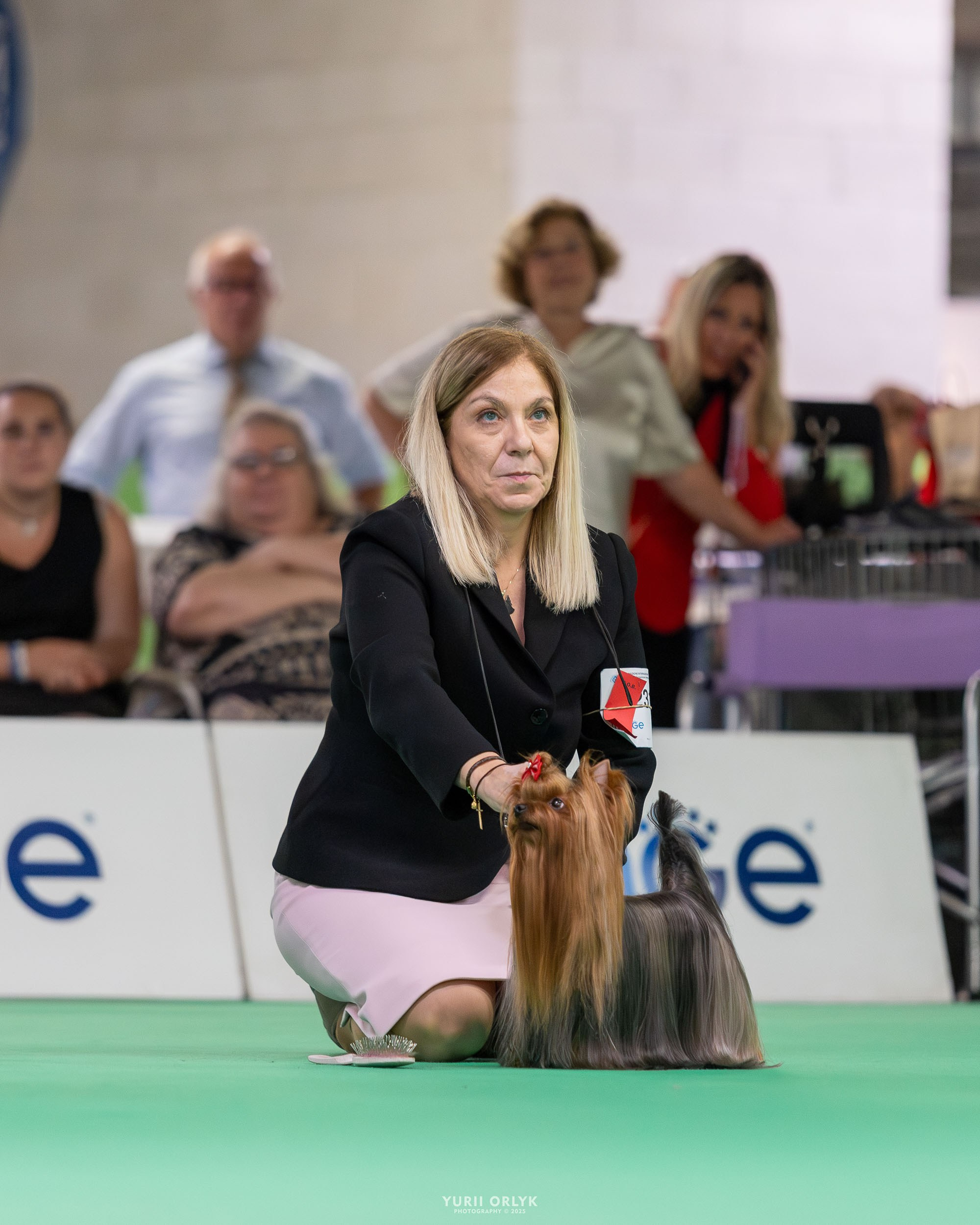 Dog Shows. Yurii Orlyk Photography