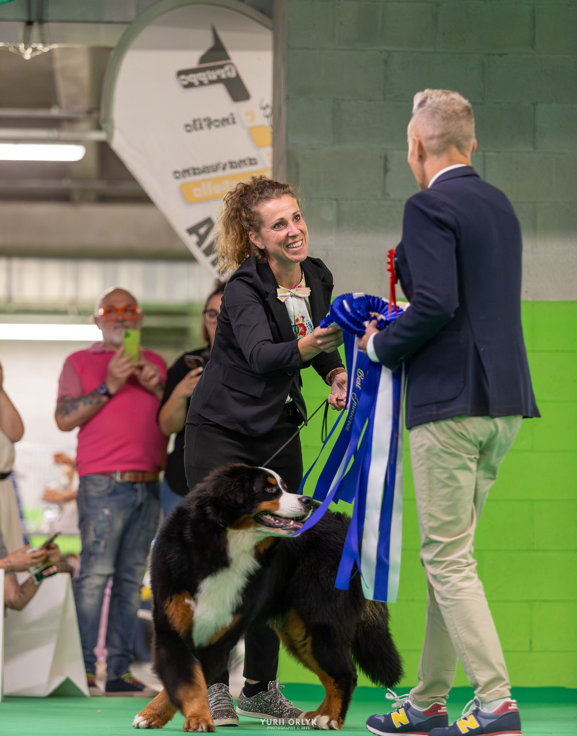 Dog Shows. Yurii Orlyk Photography