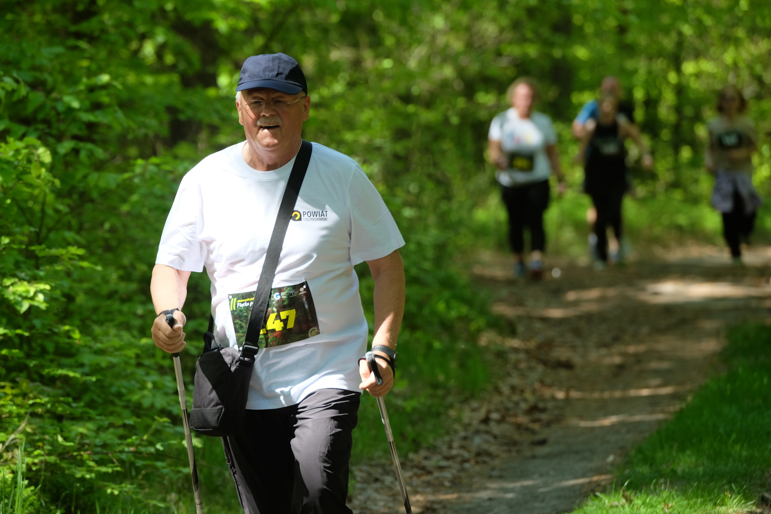 Aleksandryjska Piątka po lesie. Main