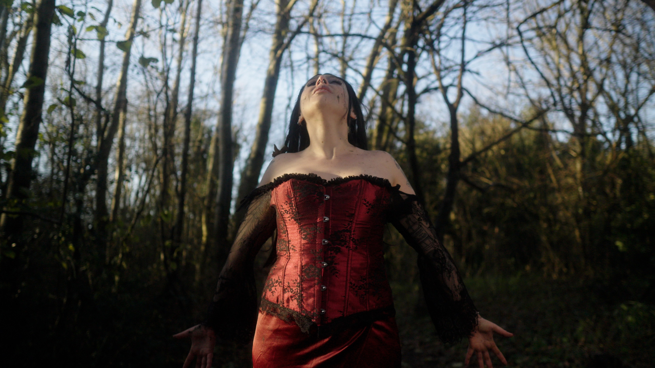 Dead Kitty Photoset. Molfar Visuals