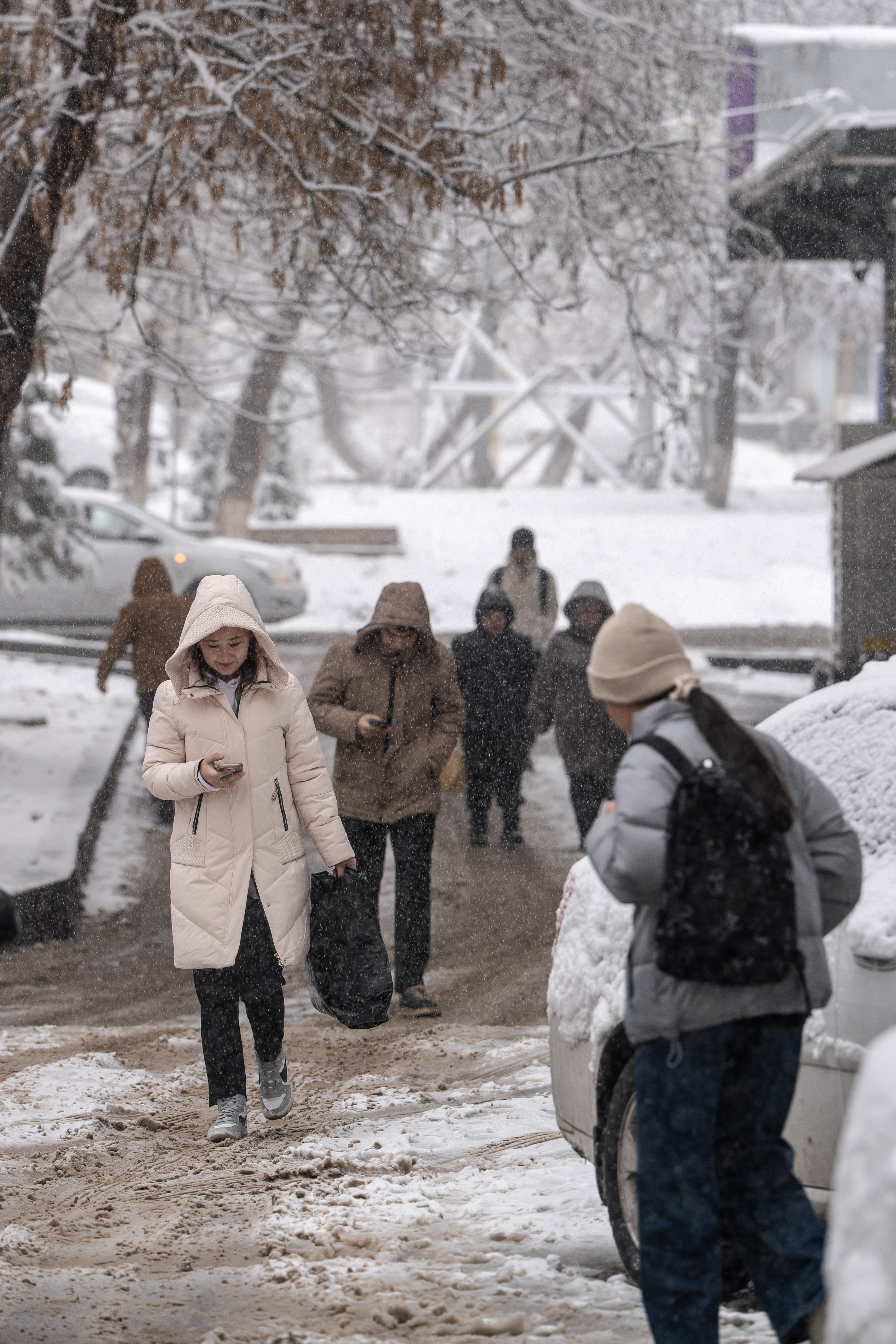 Снег. Георгий Намазов | Фотограф в Ташкенте