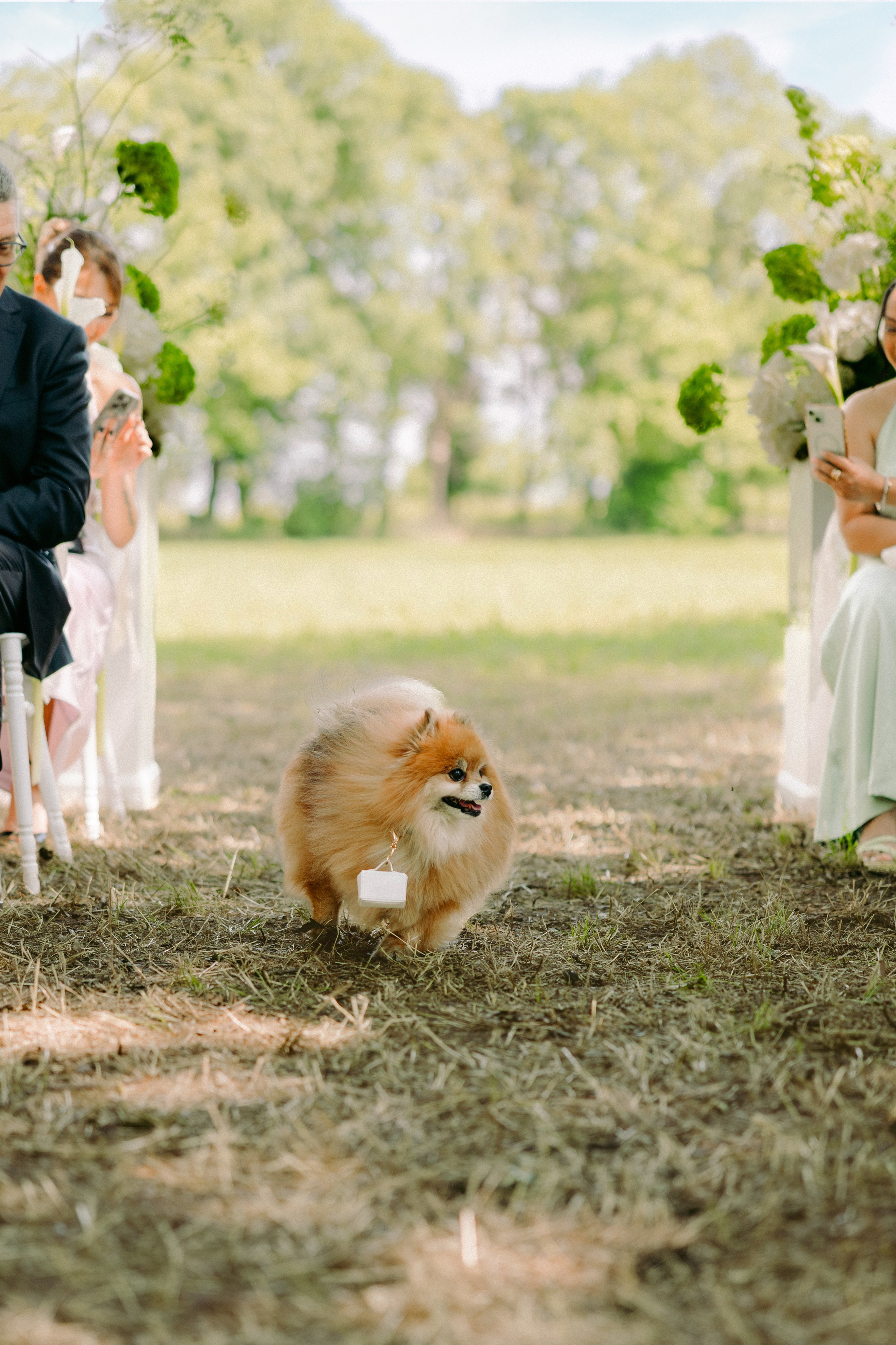A&R. Garda Lake Wedding Planner