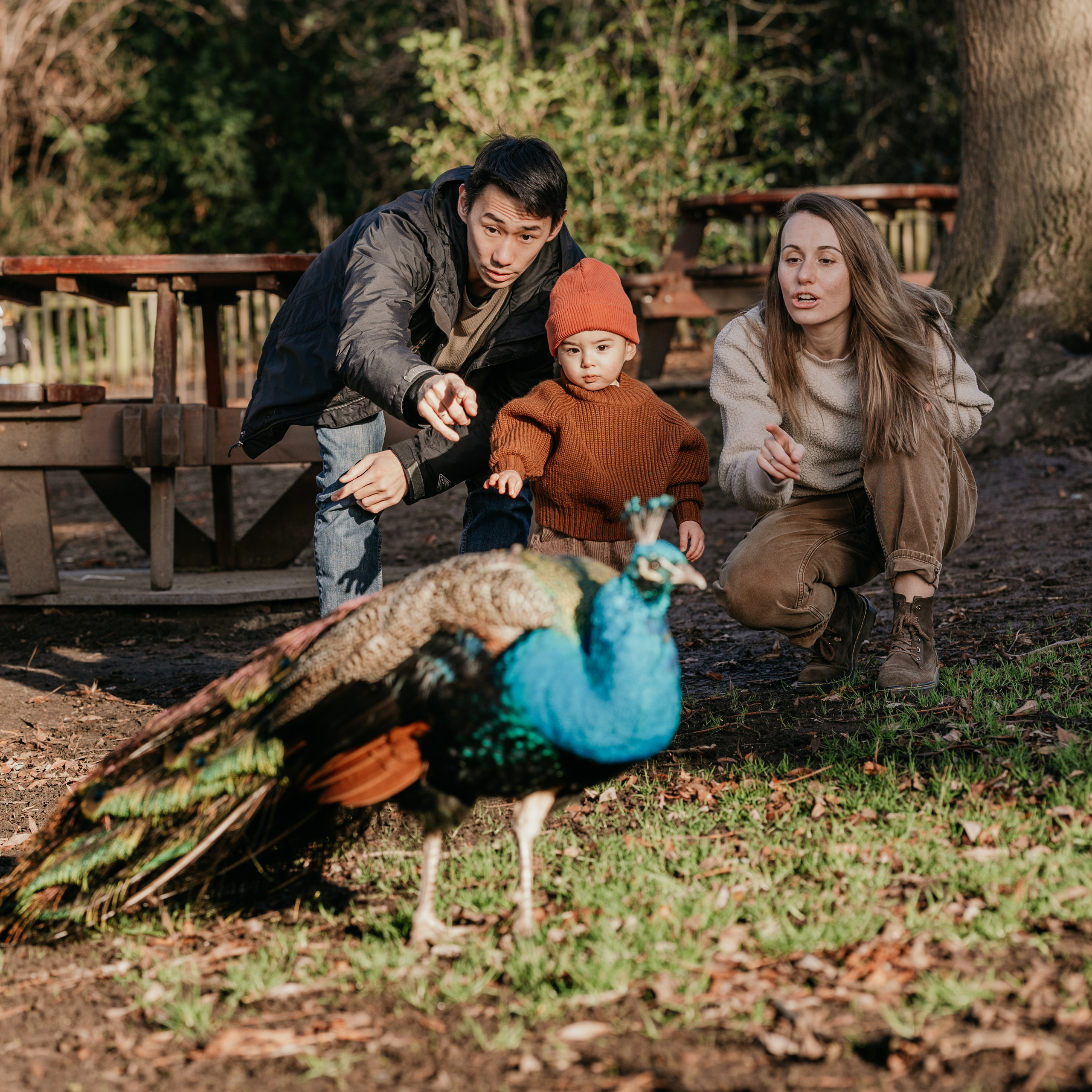 Leva’s Family in Holland Park. Anastasia Klink, Photographer in London