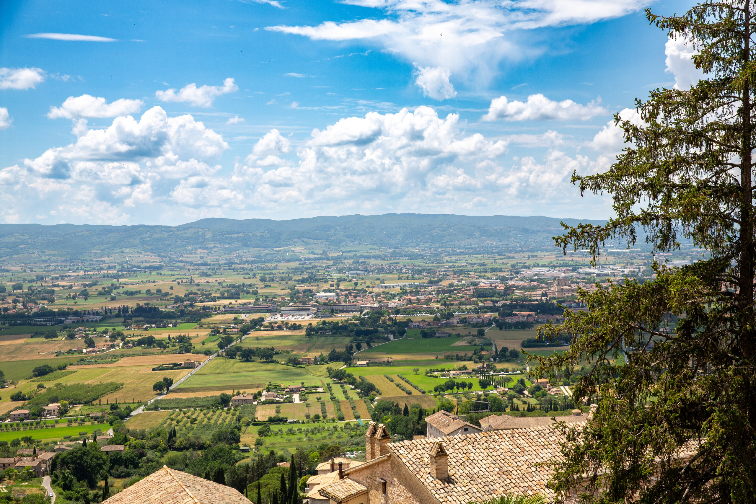 Paisagens. Thiago Chinellato