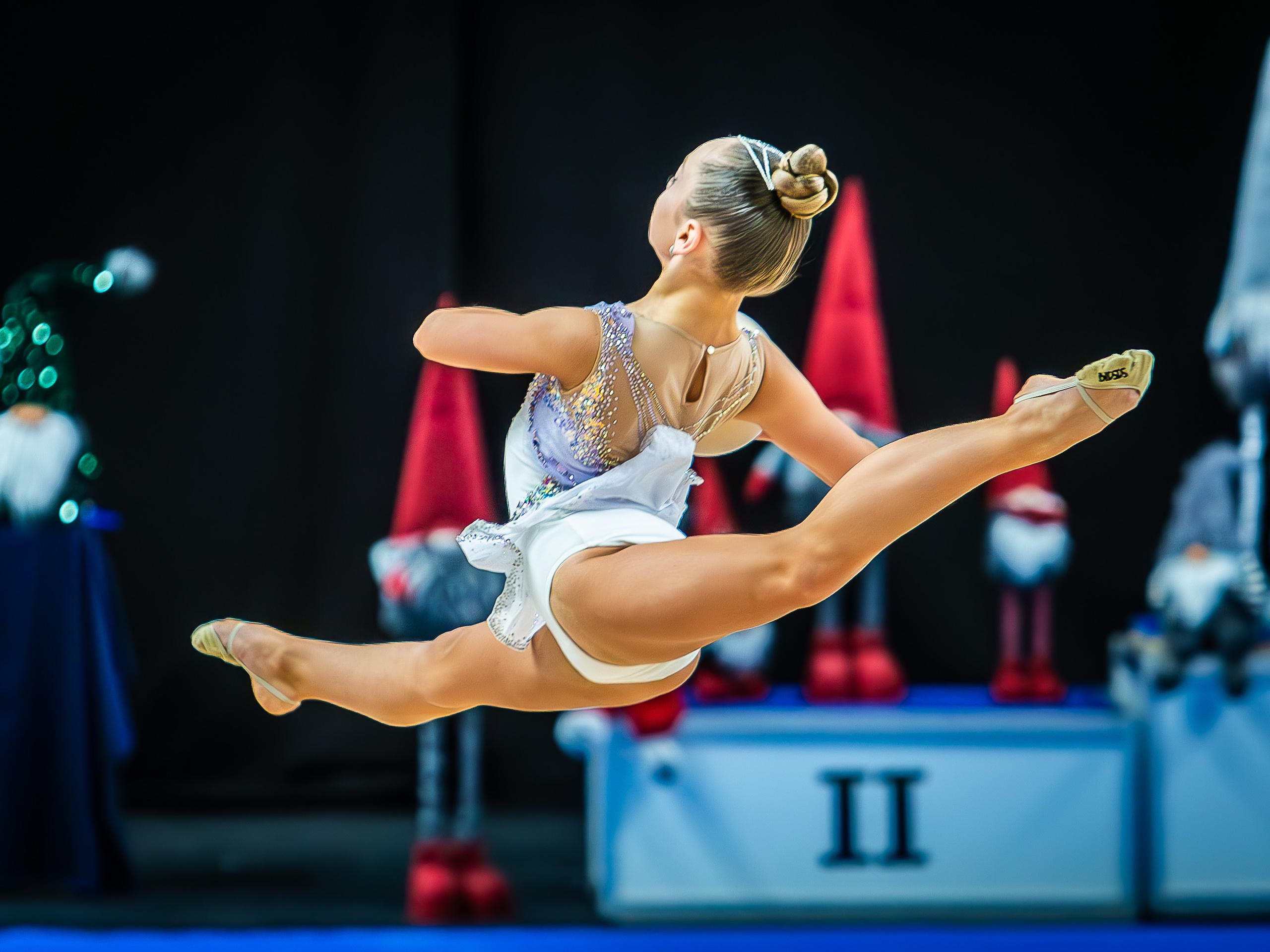 Галерея 1. Спортивная фотография, видео, трансляции