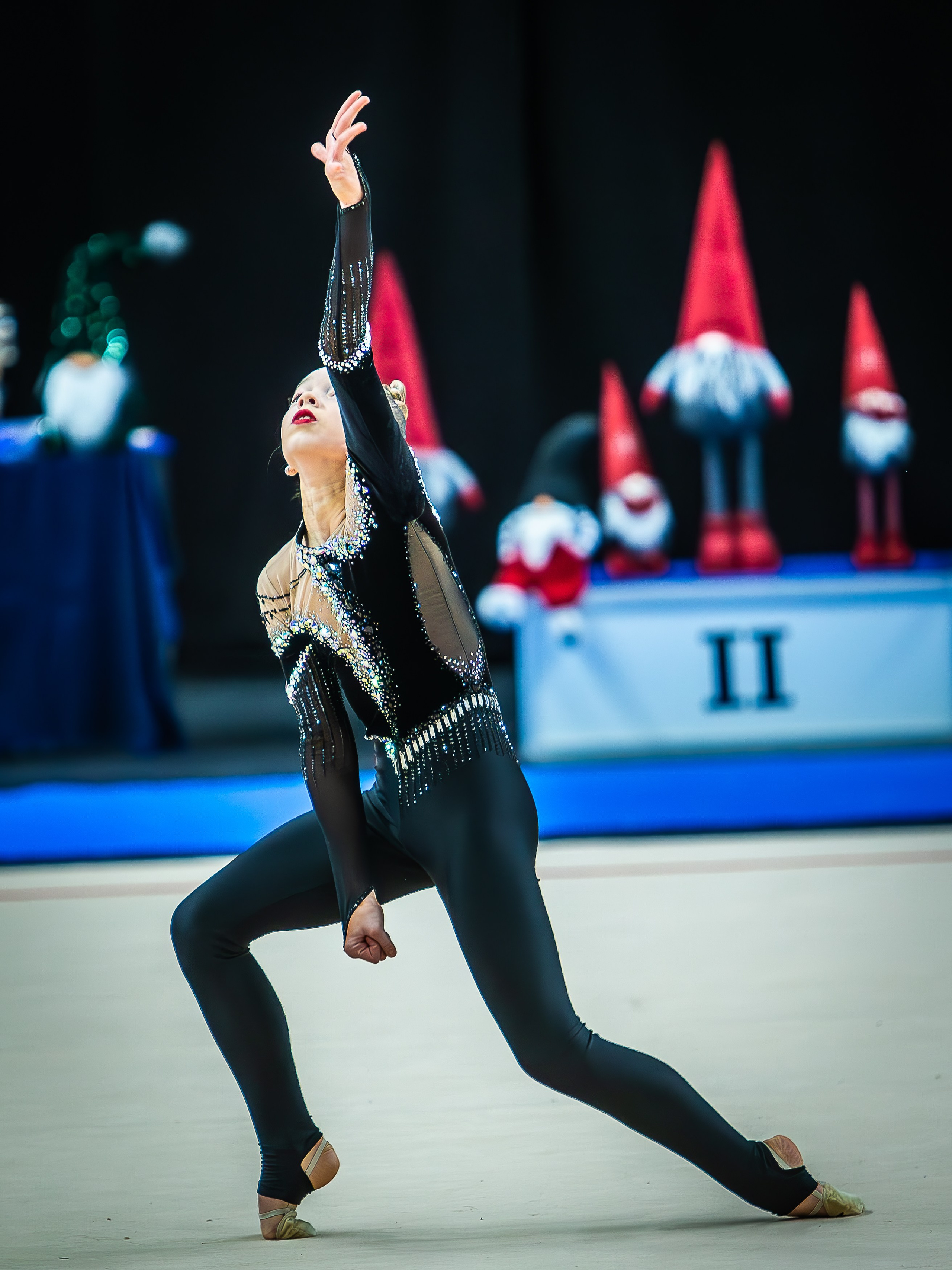 Галерея 1. Спортивная фотография, видео, трансляции