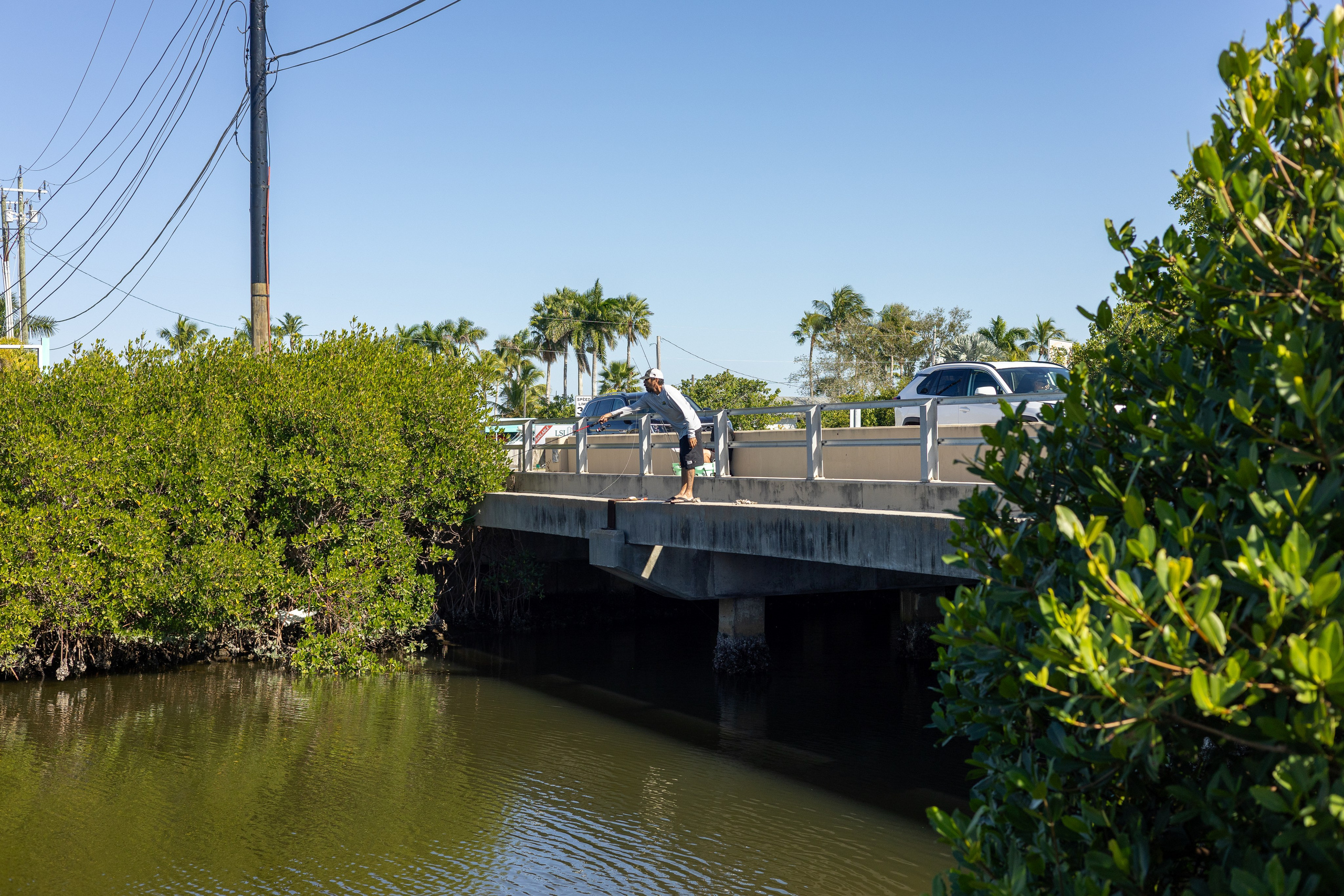 Pine Island / Machala. Out and About 239