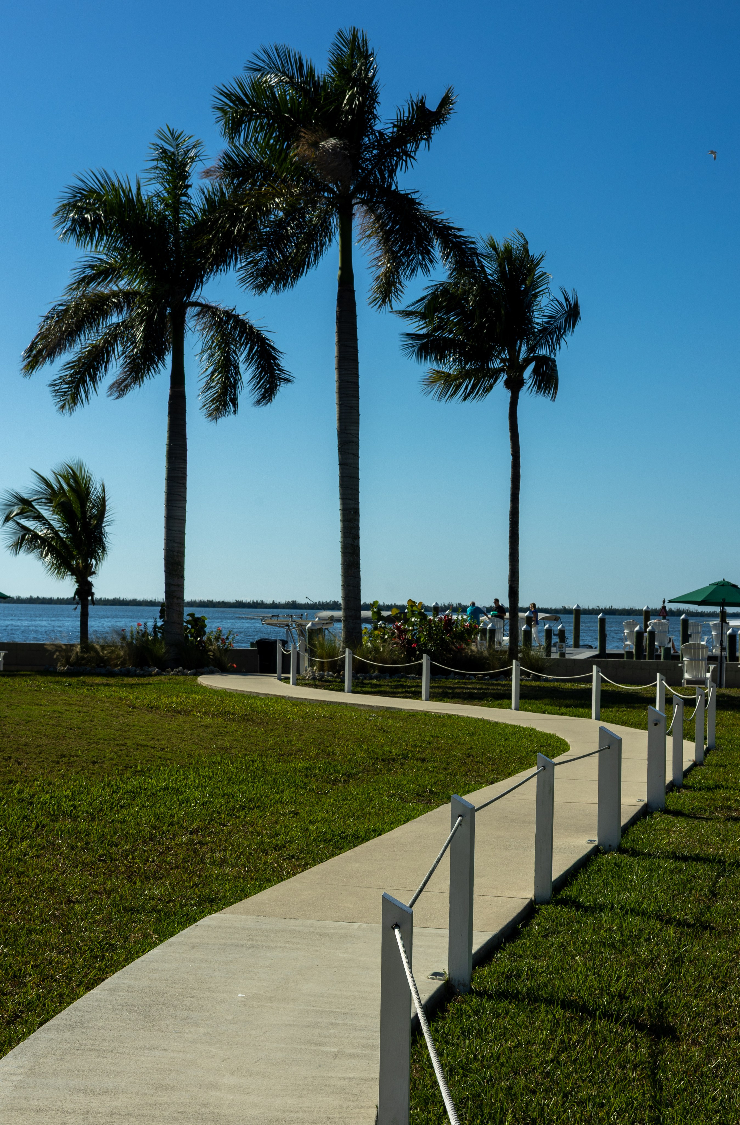 Pine Island / Machala. Out and About 239