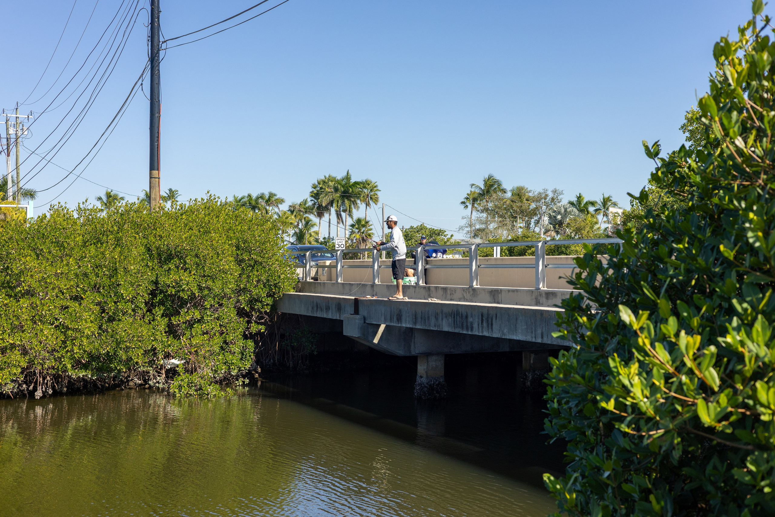 Pine Island / Machala. Out and About 239