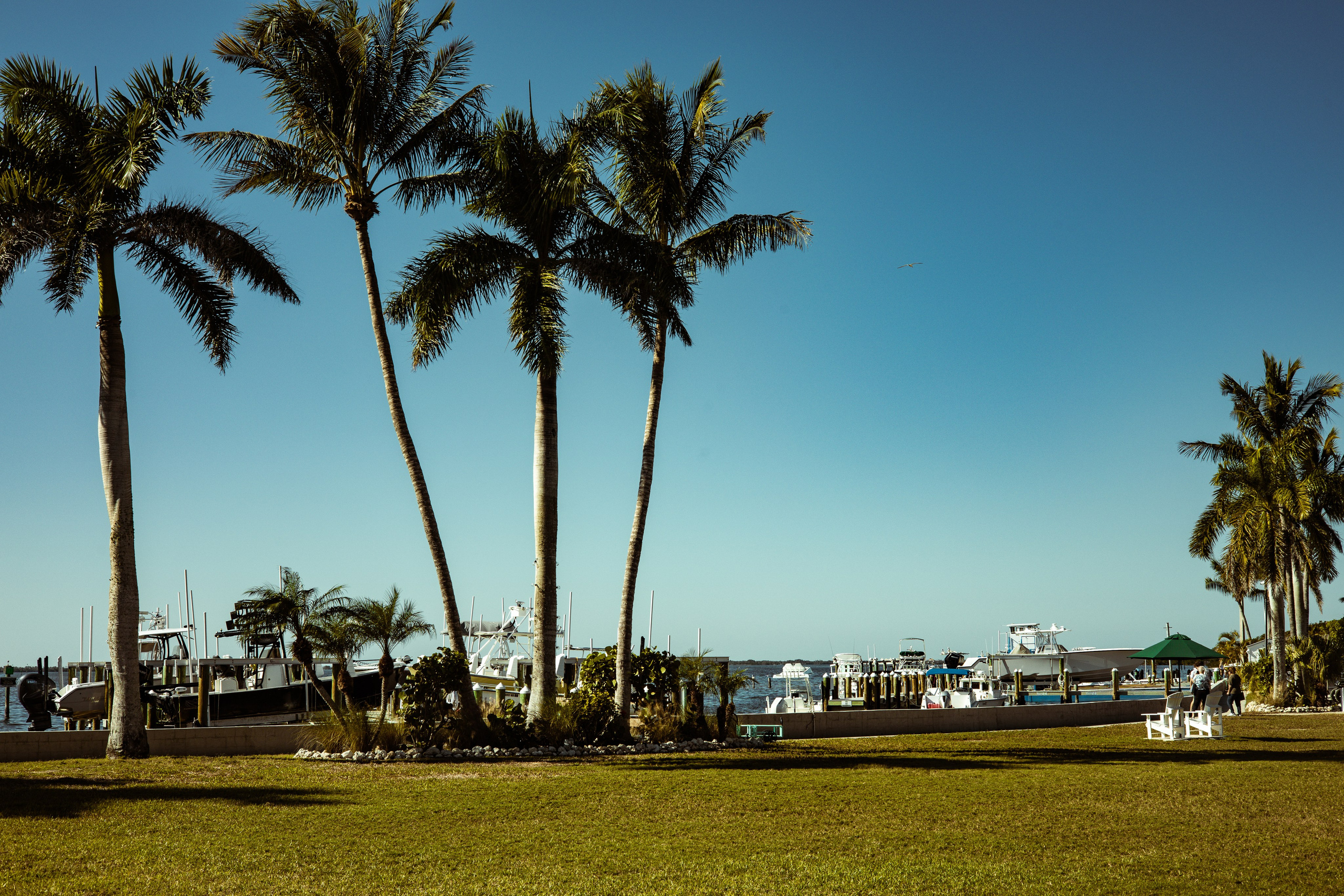 Pine Island / Machala. Out and About 239