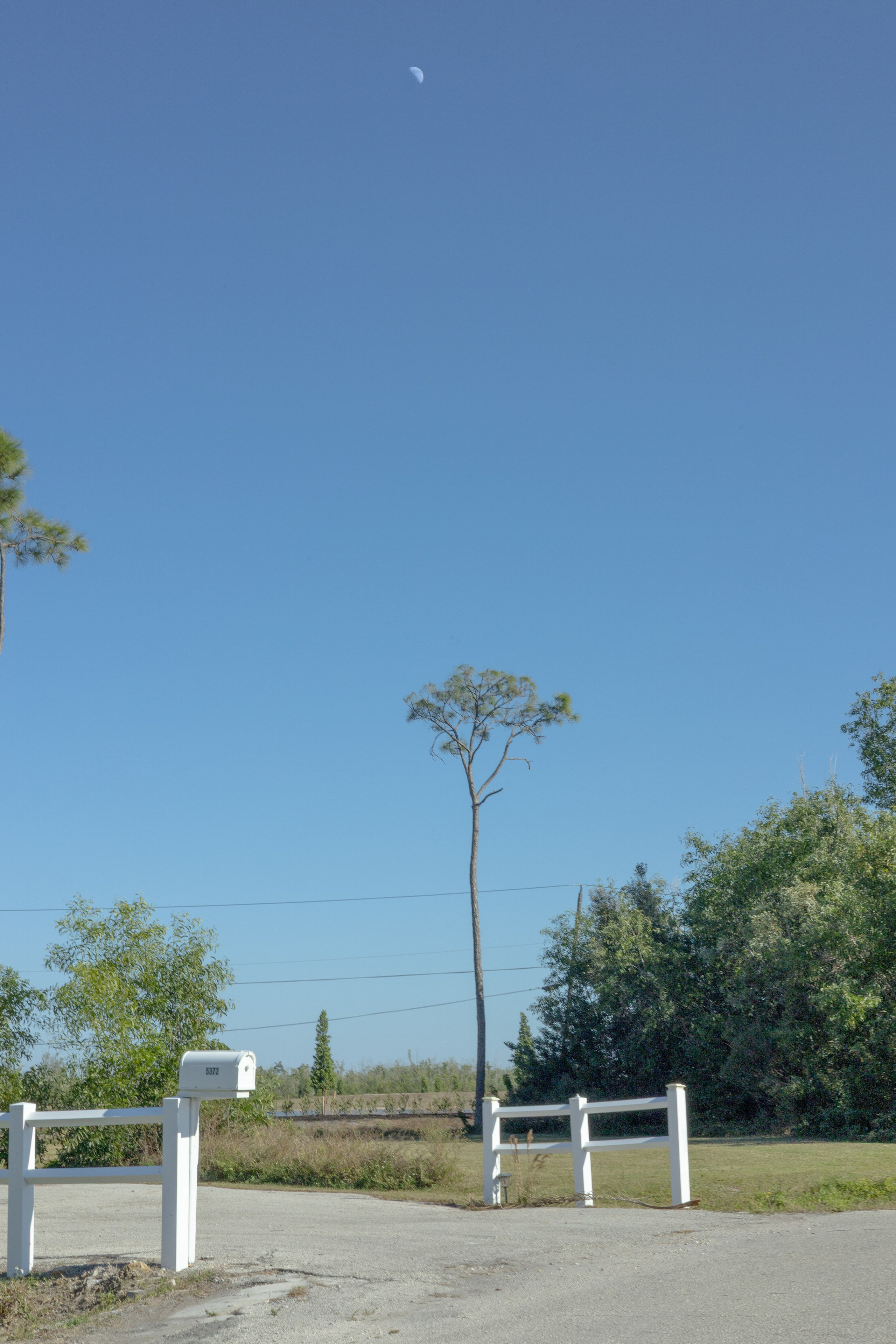 Pine Island / Machala. Out and About 239