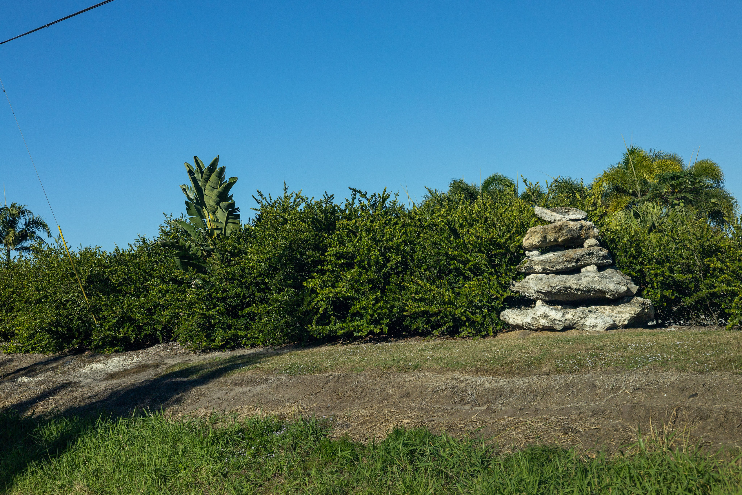 Pine Island / Machala. Out and About 239